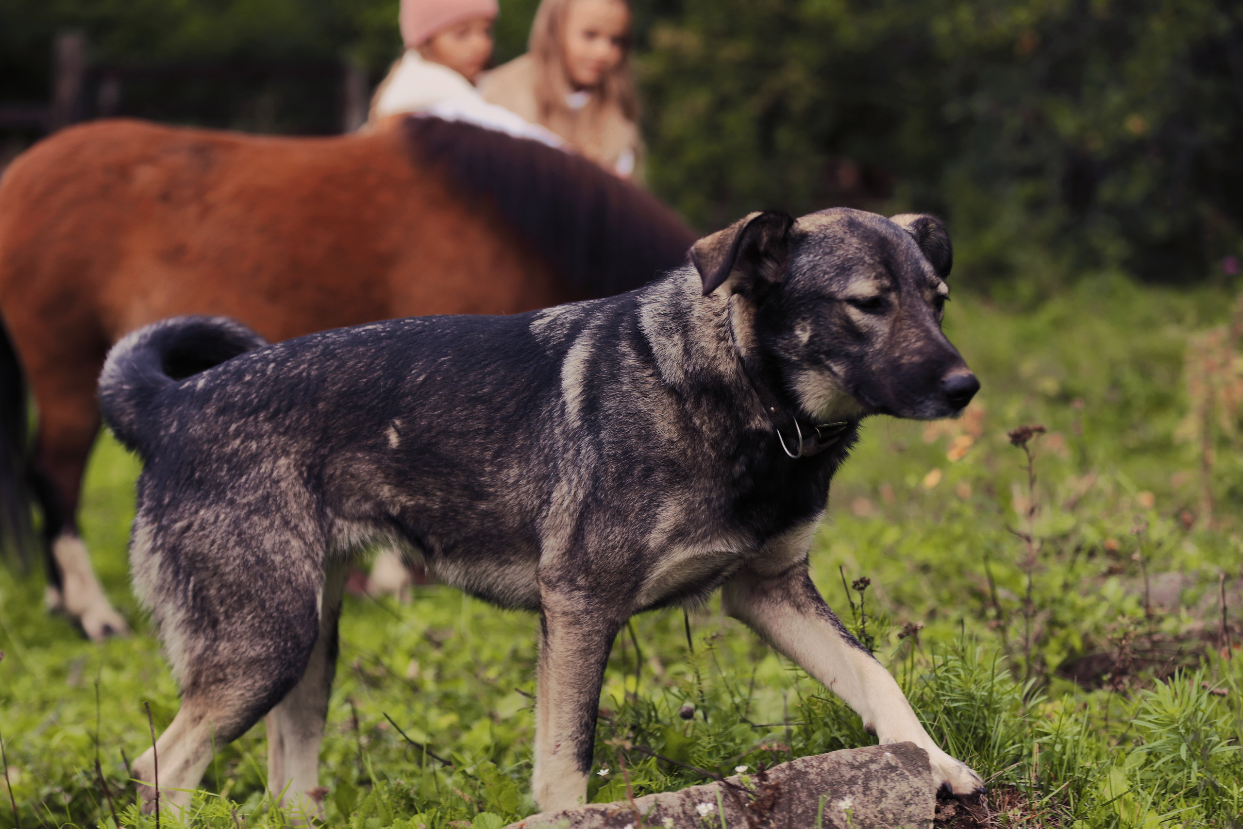 Уличные съемки. Спортивный и семейный фотограф в Екатеринбурге Ольга Горбунова меня