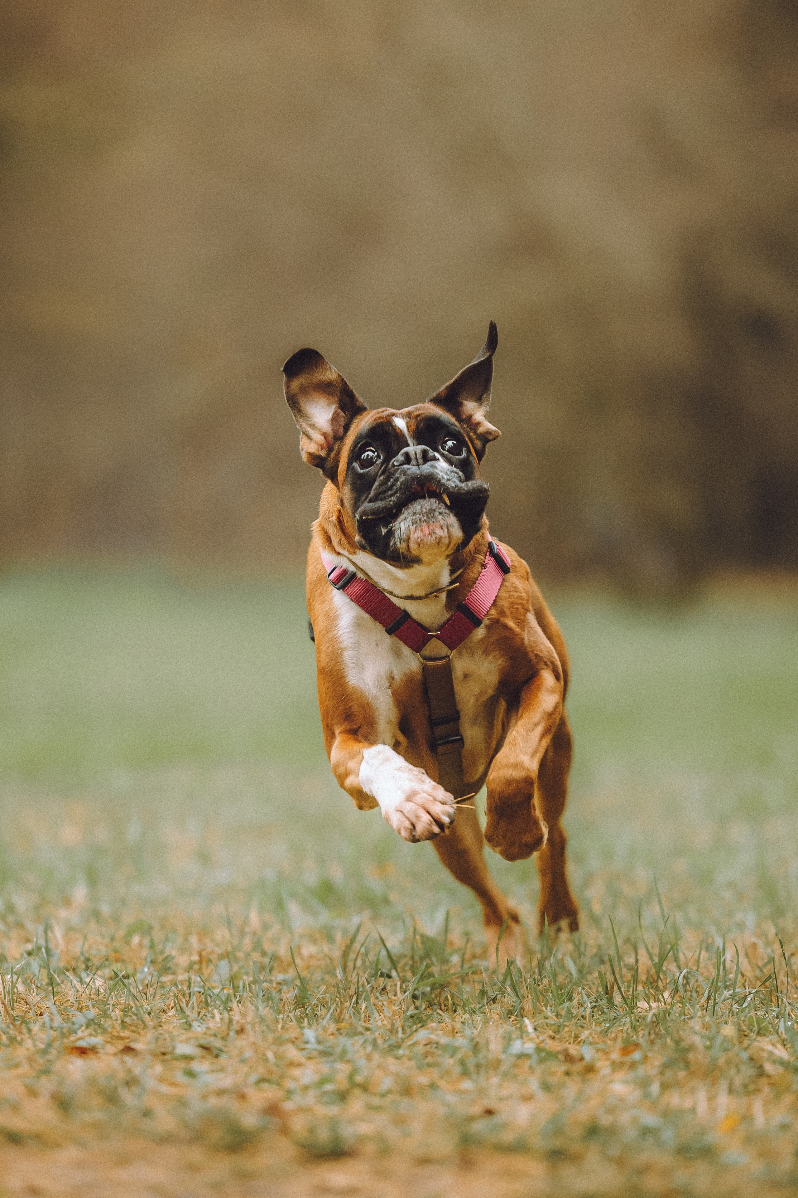 Элли и ее семья