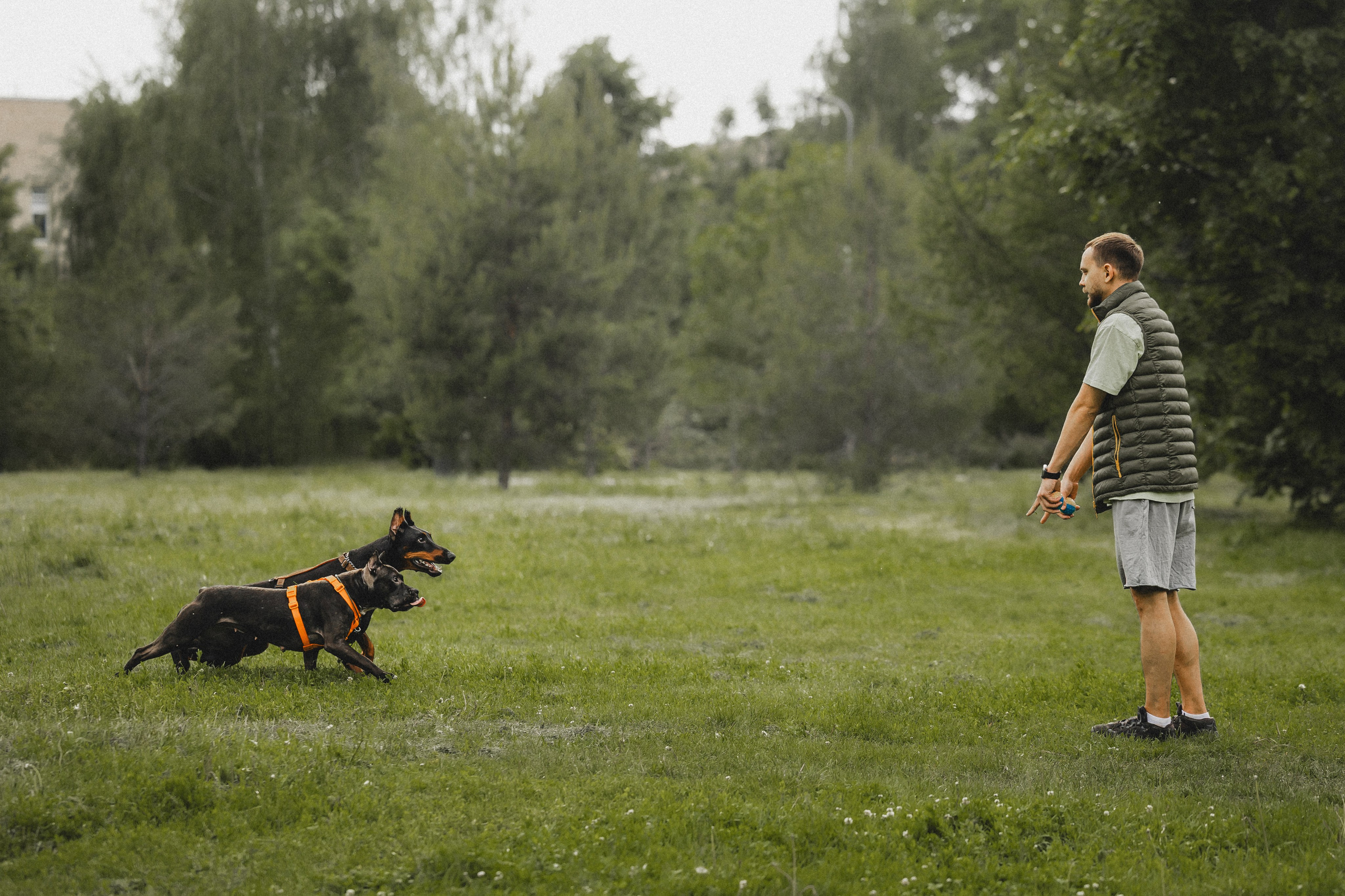 Паша, Хайди и Тея