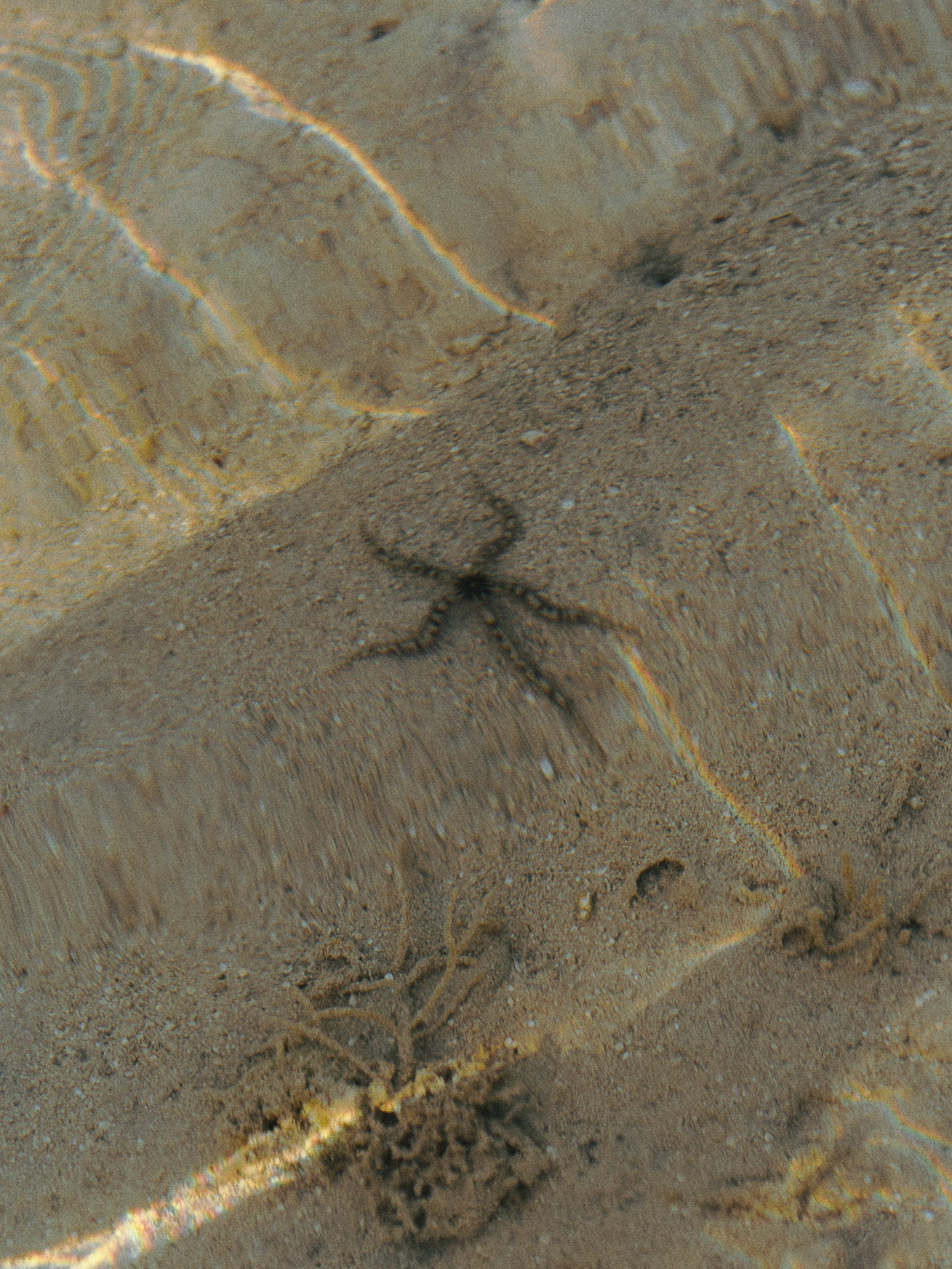 Диптих. Jorgis — фотограф в Хургаде / обучение фотографии