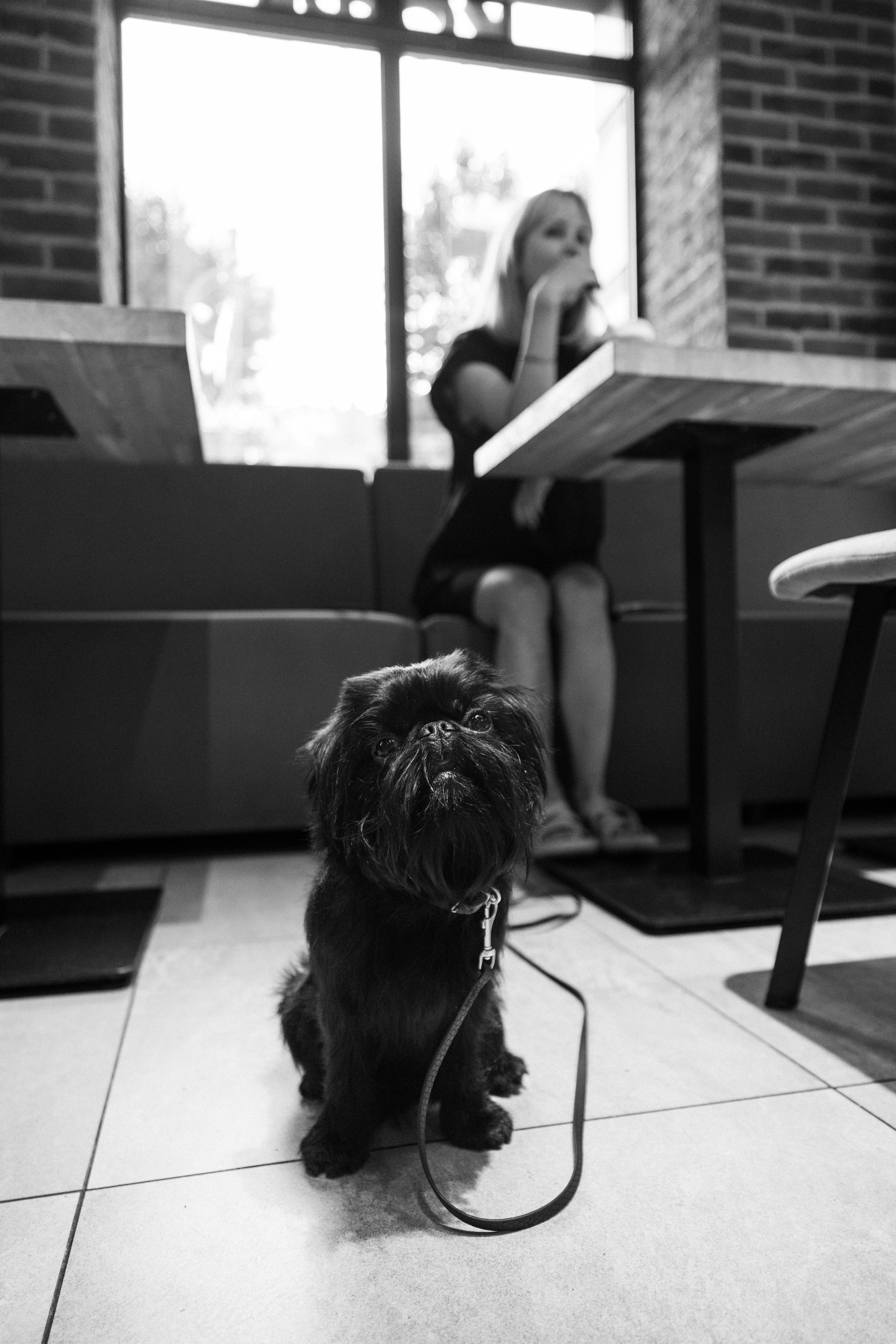 Ася и Кузя. Фотограф анималист Осипчикова Мария