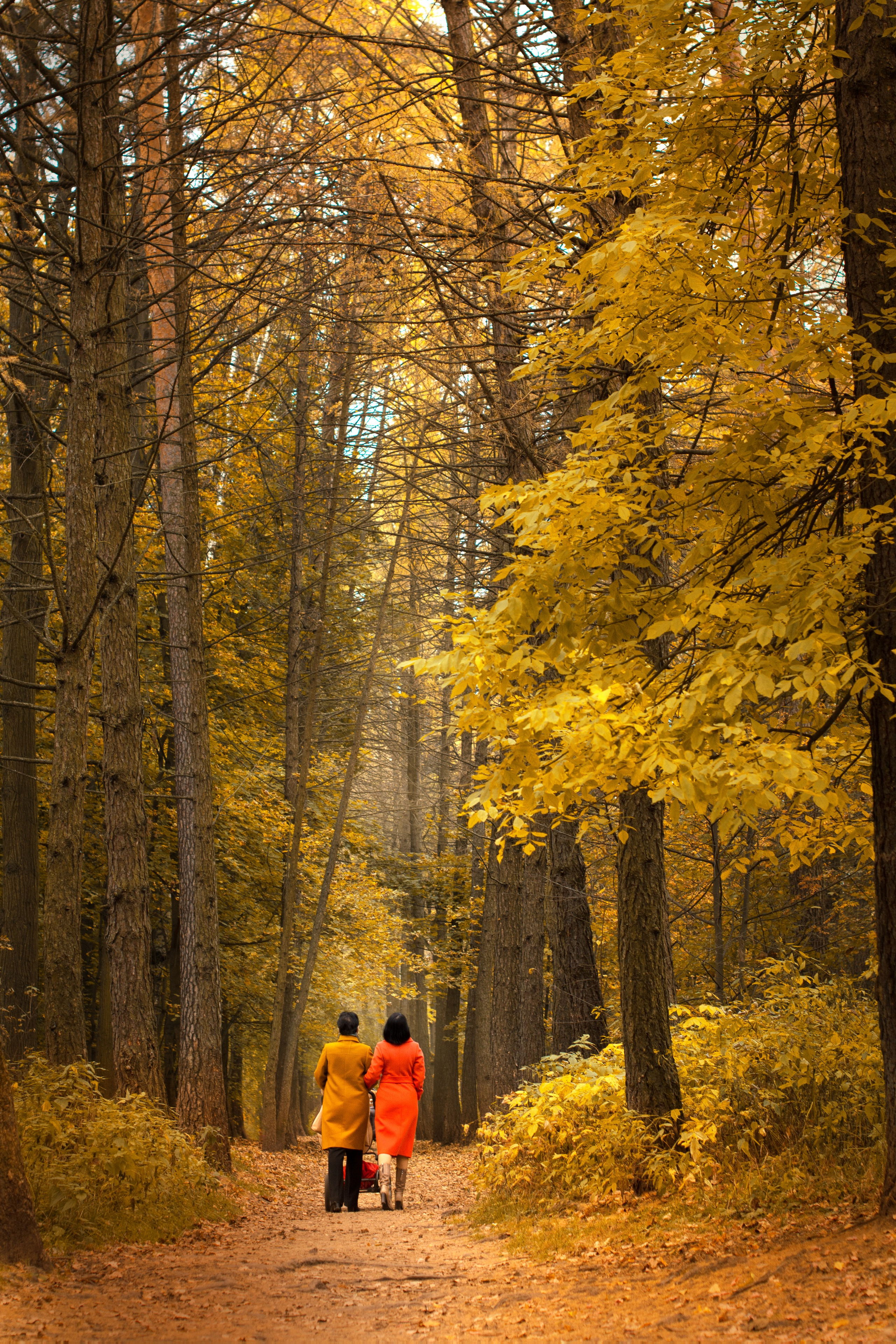 Осень в парке Измайлово. Фотосессия для Анны. Фотосессия беременности — Крылова Натали — Москва