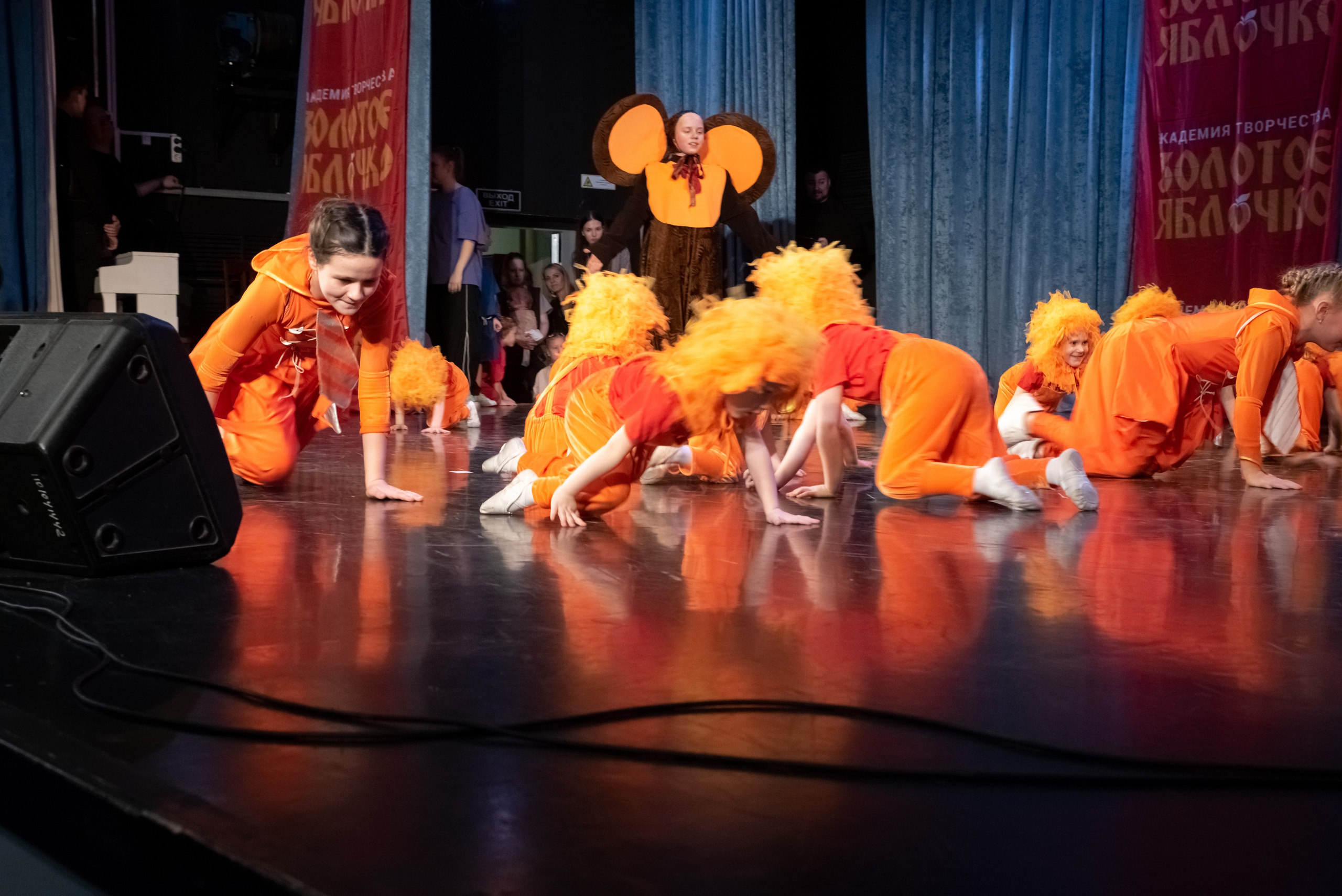 7 декабря, г. Выборг. Золотое яблочко