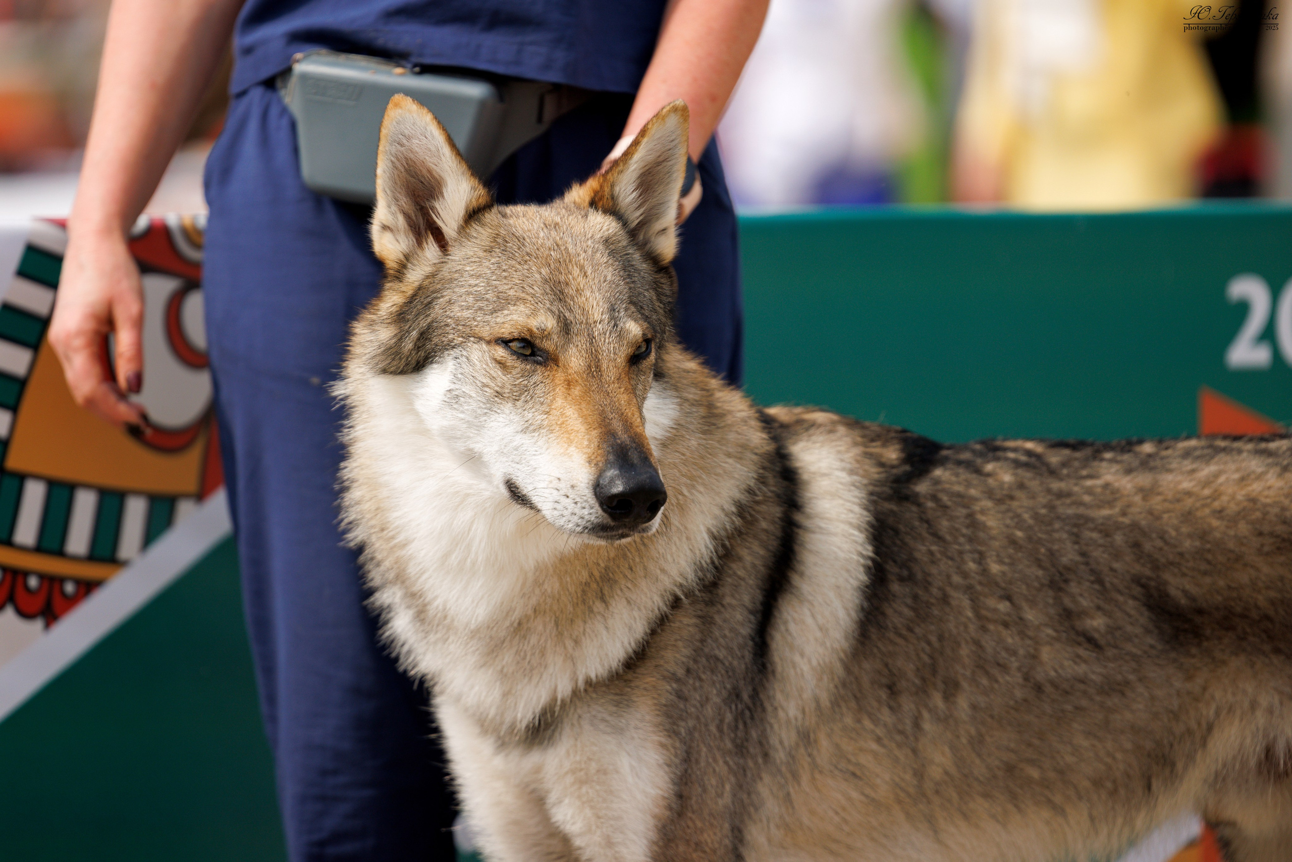 РОССИЯ 7-8.06.2025