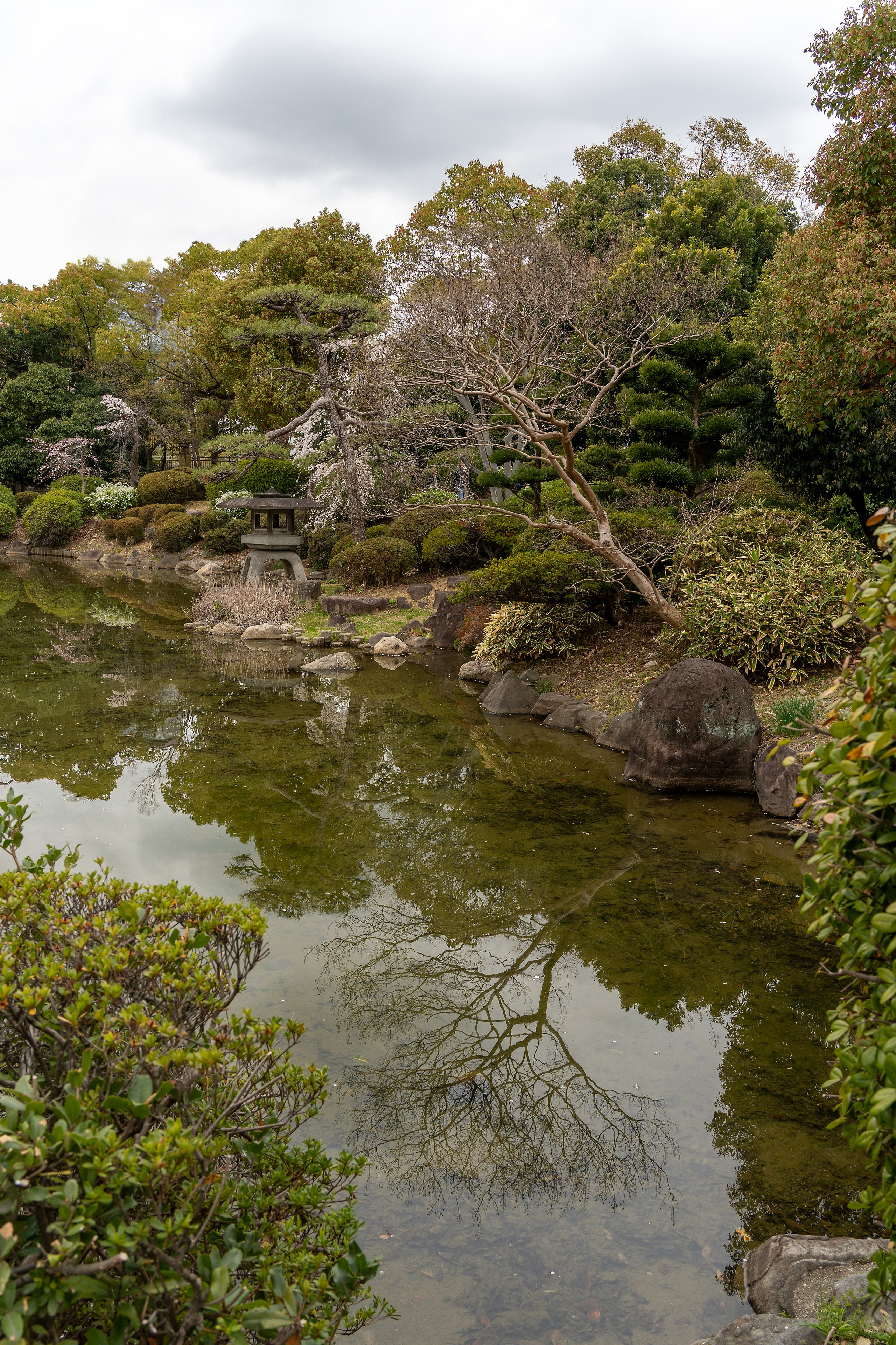 Япония, сакура. Творческие сьемки