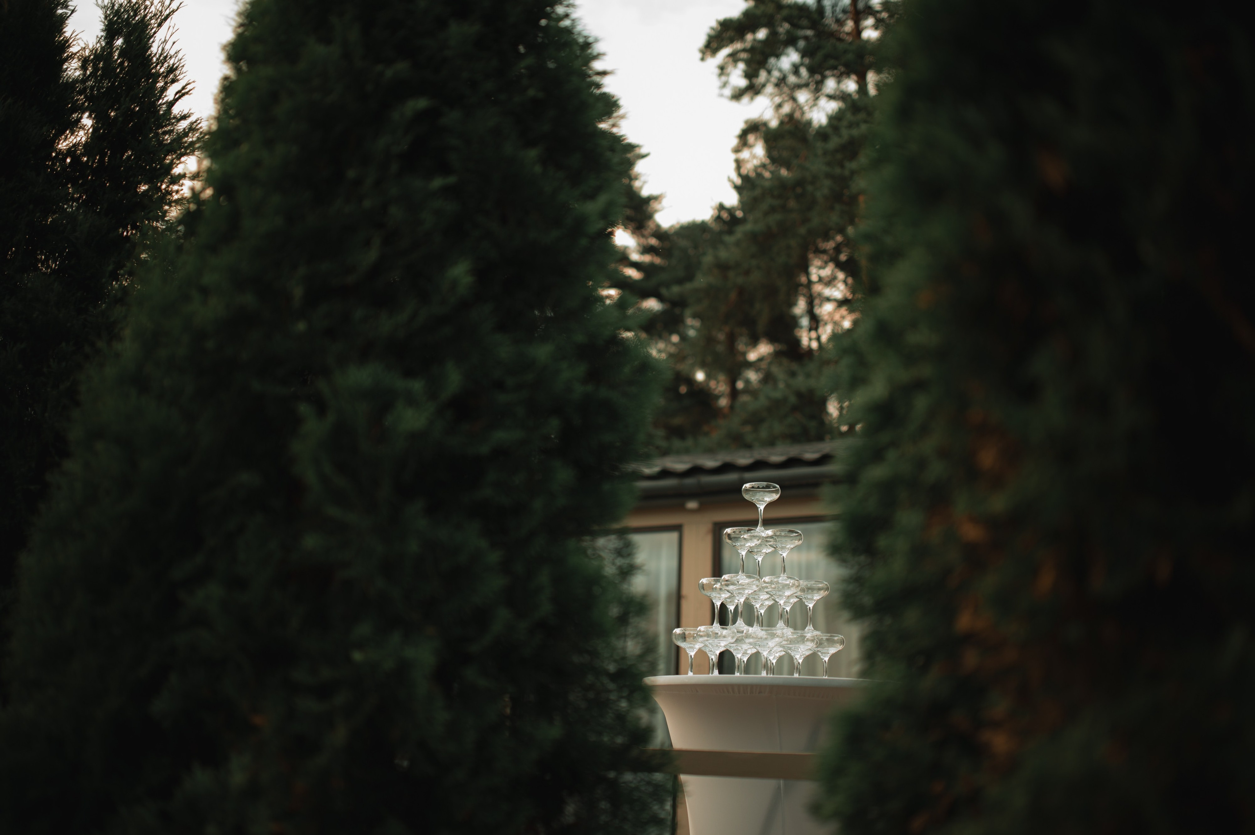 Екатерина и Павел. Свадебный и портретный фотограф в Москве Жердев Даниил