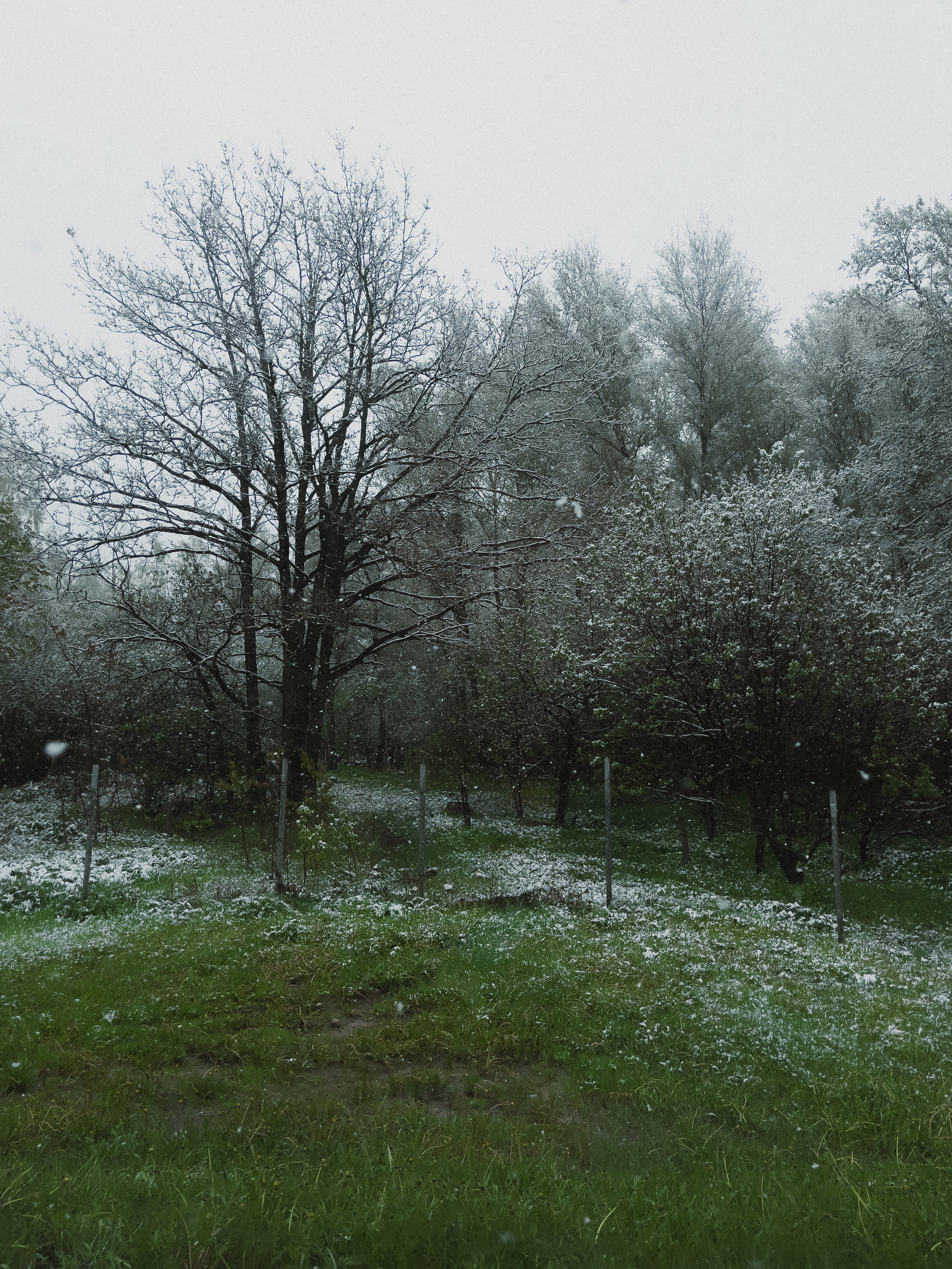 Пейзаж. Сюжетный и репортажный фотограф, Миша Муромцев