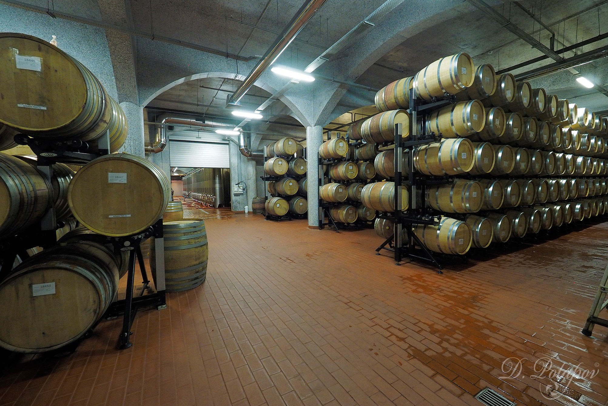 Крымская винодельня Alma Valley. Московский фотограф Дмитрий Потапов