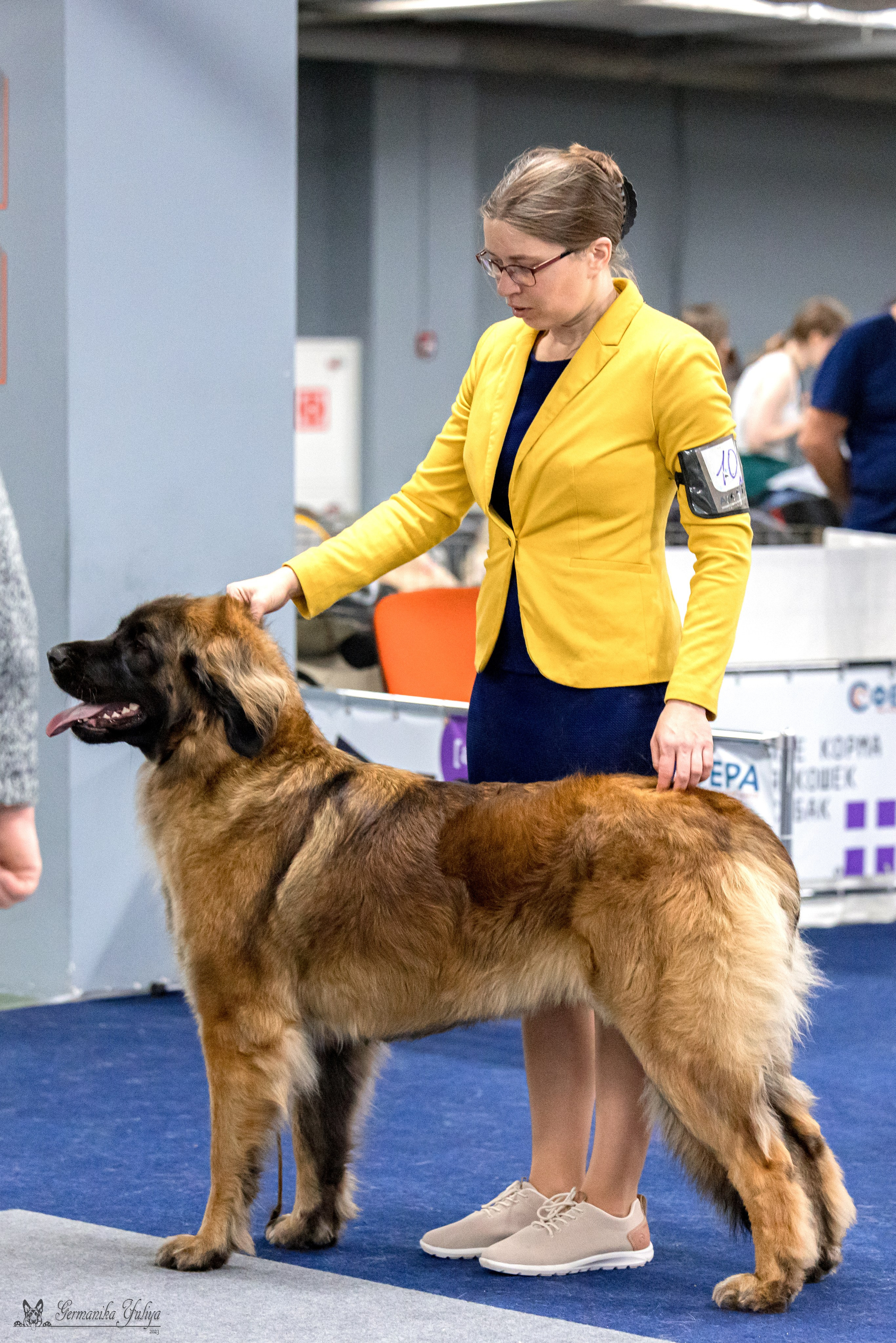 Сфера 29.10,Крокус 4.11,Сфера 12.11.2023. Фотограф-анималист Юлия Германика