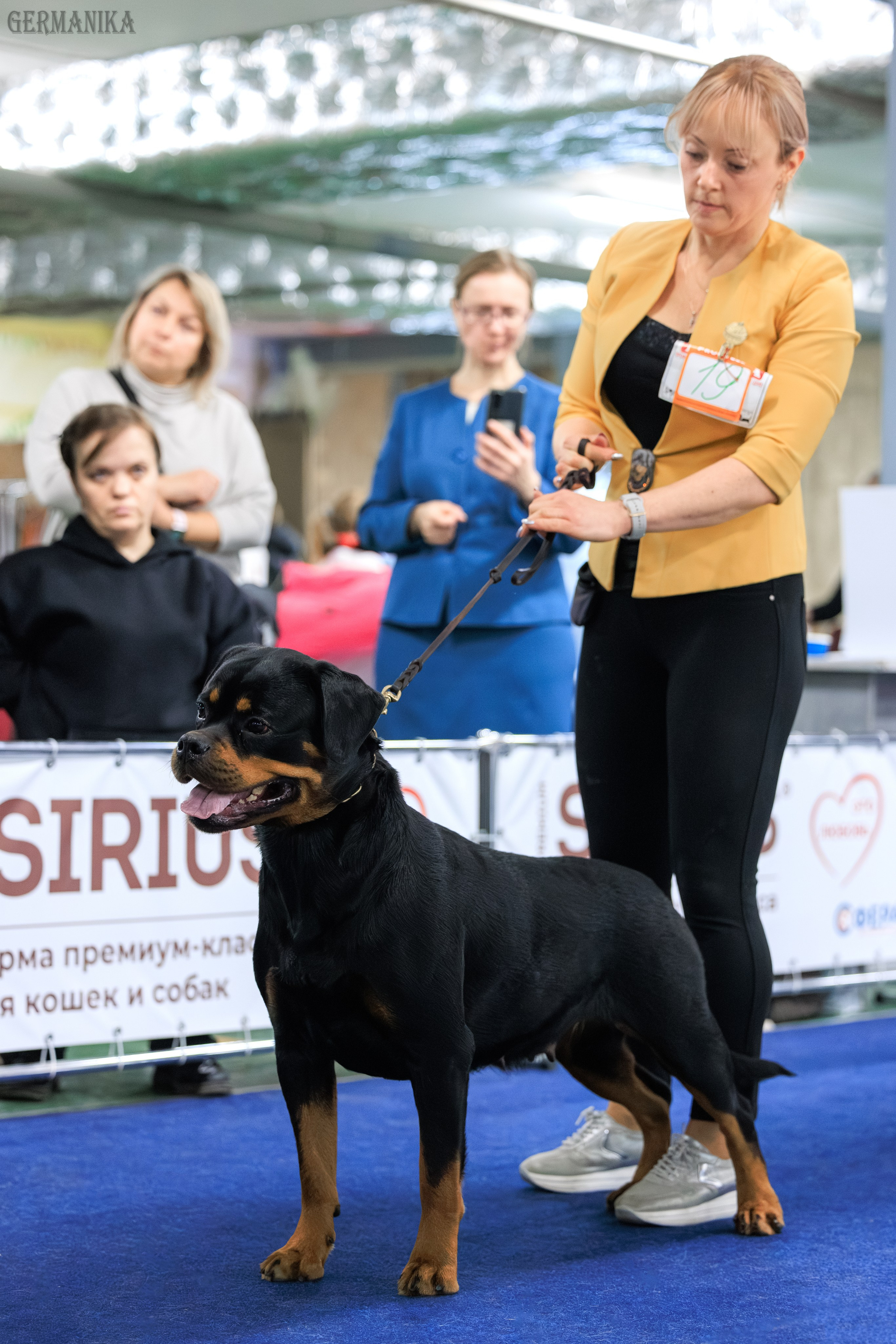 Сфера 08 и 10.03.2024 2хмоно ротвейлеров+2хмоно сао. Фотограф-анималист Юлия Германика
