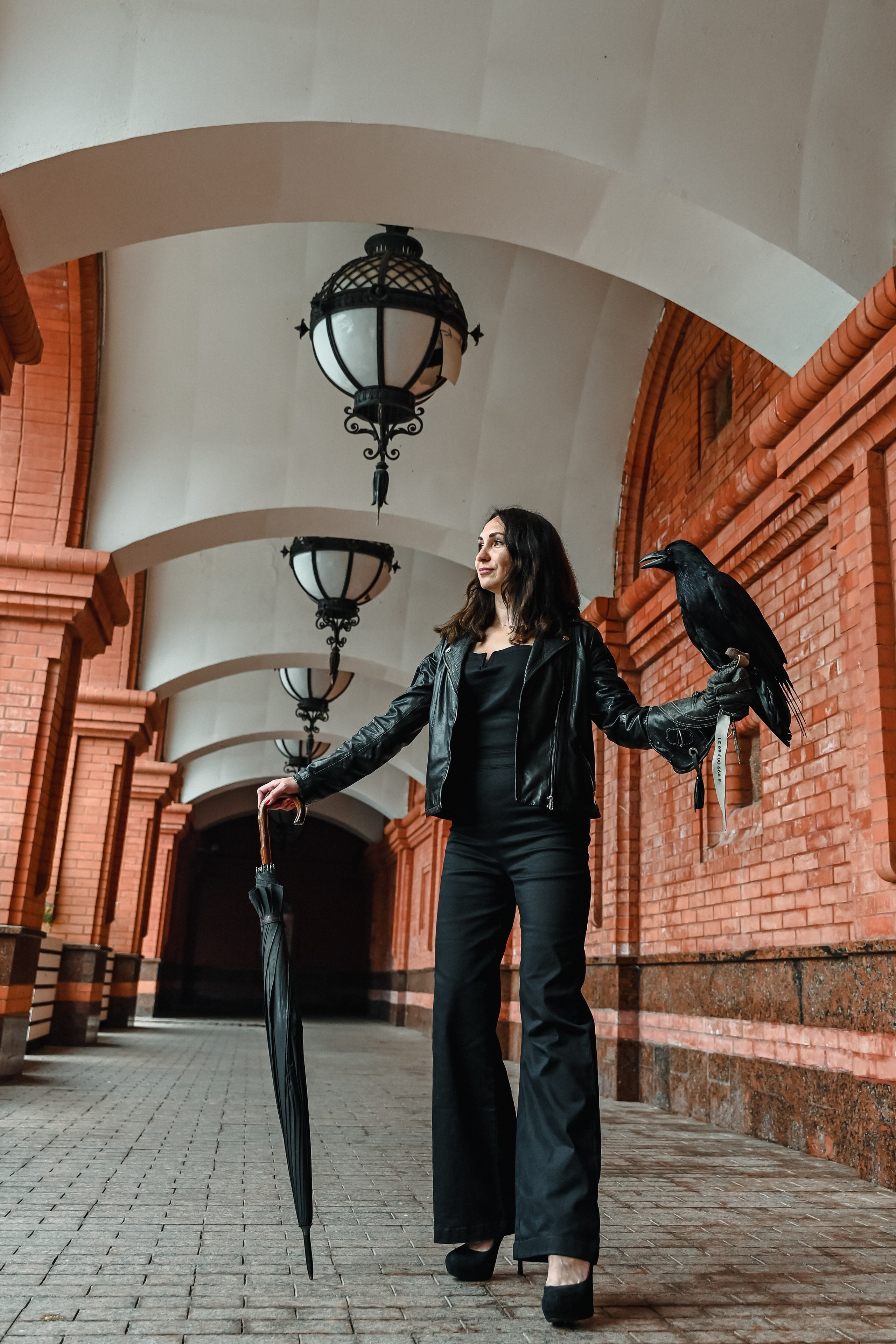 Необычная прогулка с вороном