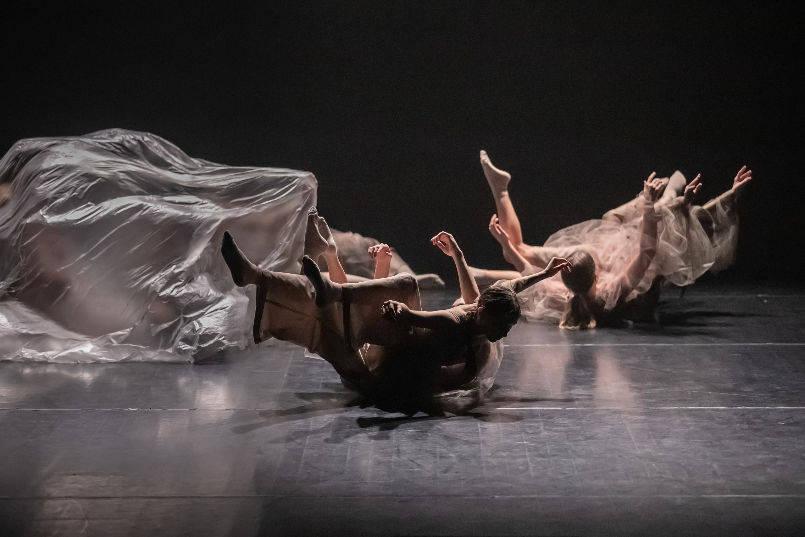 Танцевальные студии. Выпускные альбомы для школ и детских садов — фотокниги и виньетки