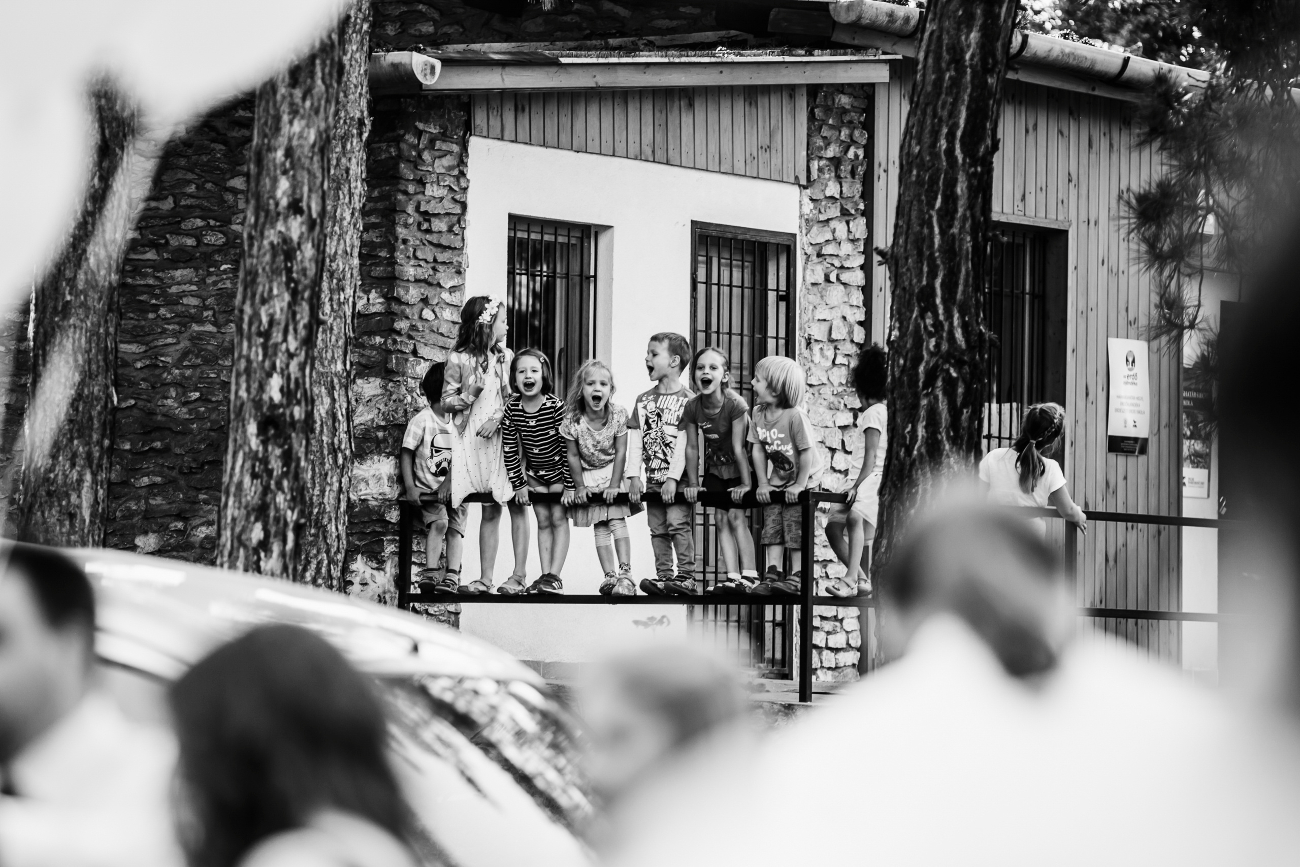 Давид & Лида — Будапешт (Венгрия). Свадебный фотограф Ричард Конвенсаров Wedding Photographer Richard & I