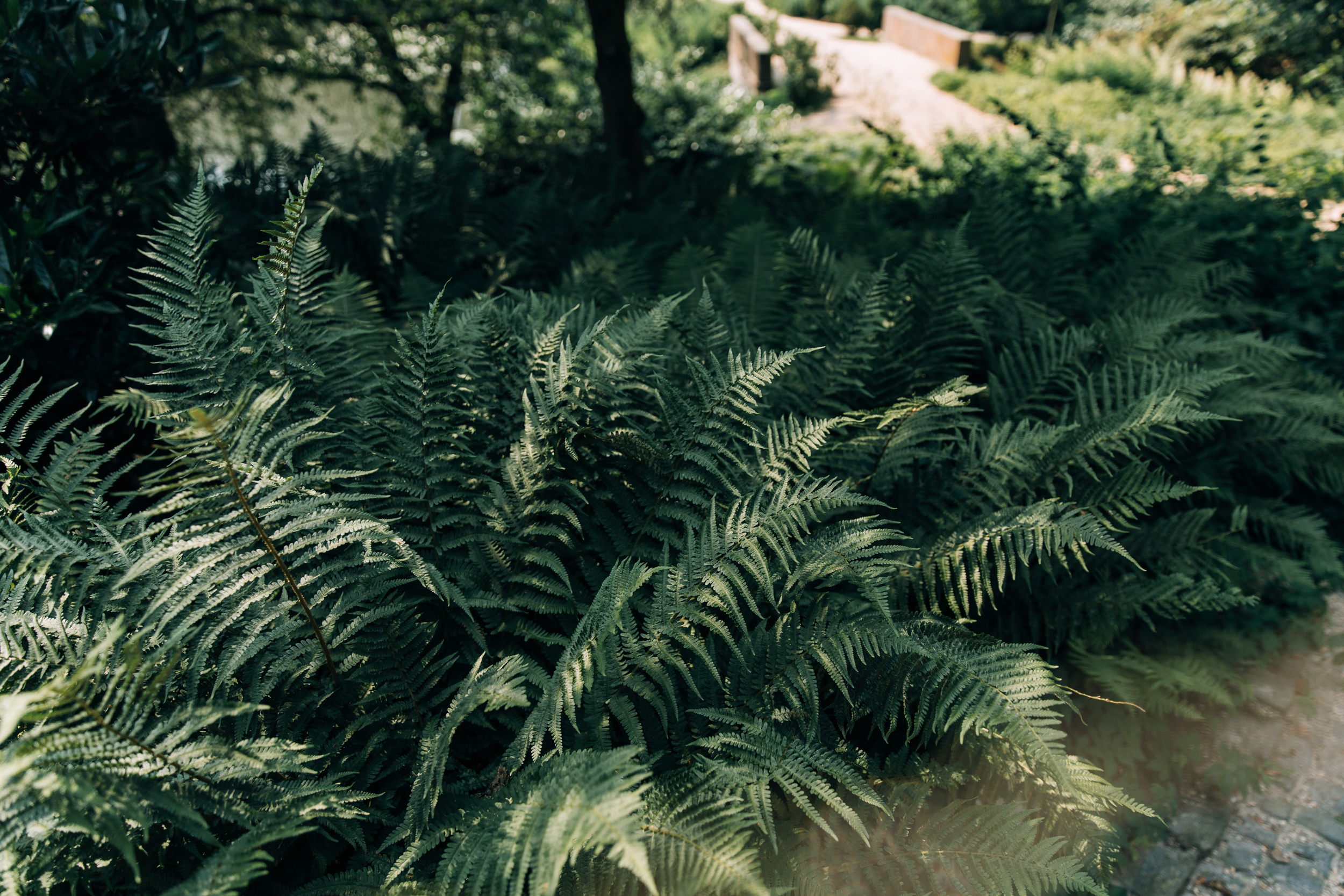 Андреас & Анна — Франкфурт (Германия). Свадебный фотограф Ричард Конвенсаров Wedding Photographer Richard & I