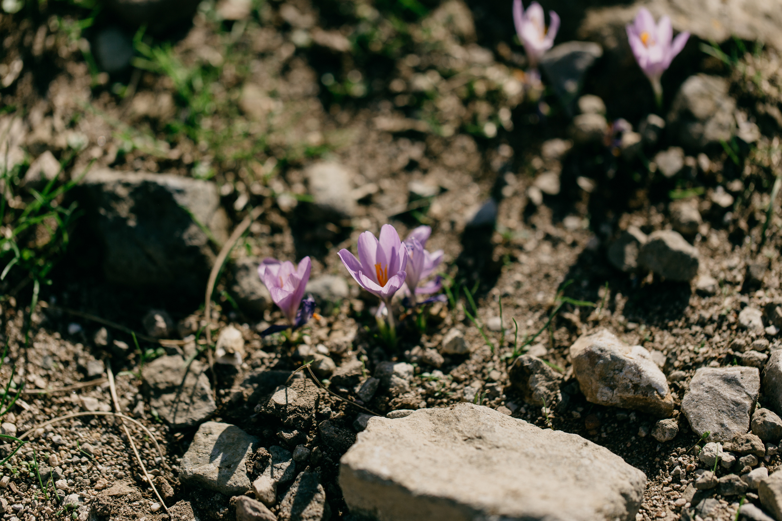 Павел & Анна — Синтра (Португалия). Свадебный фотограф Ричард Конвенсаров Wedding Photographer Richard & I