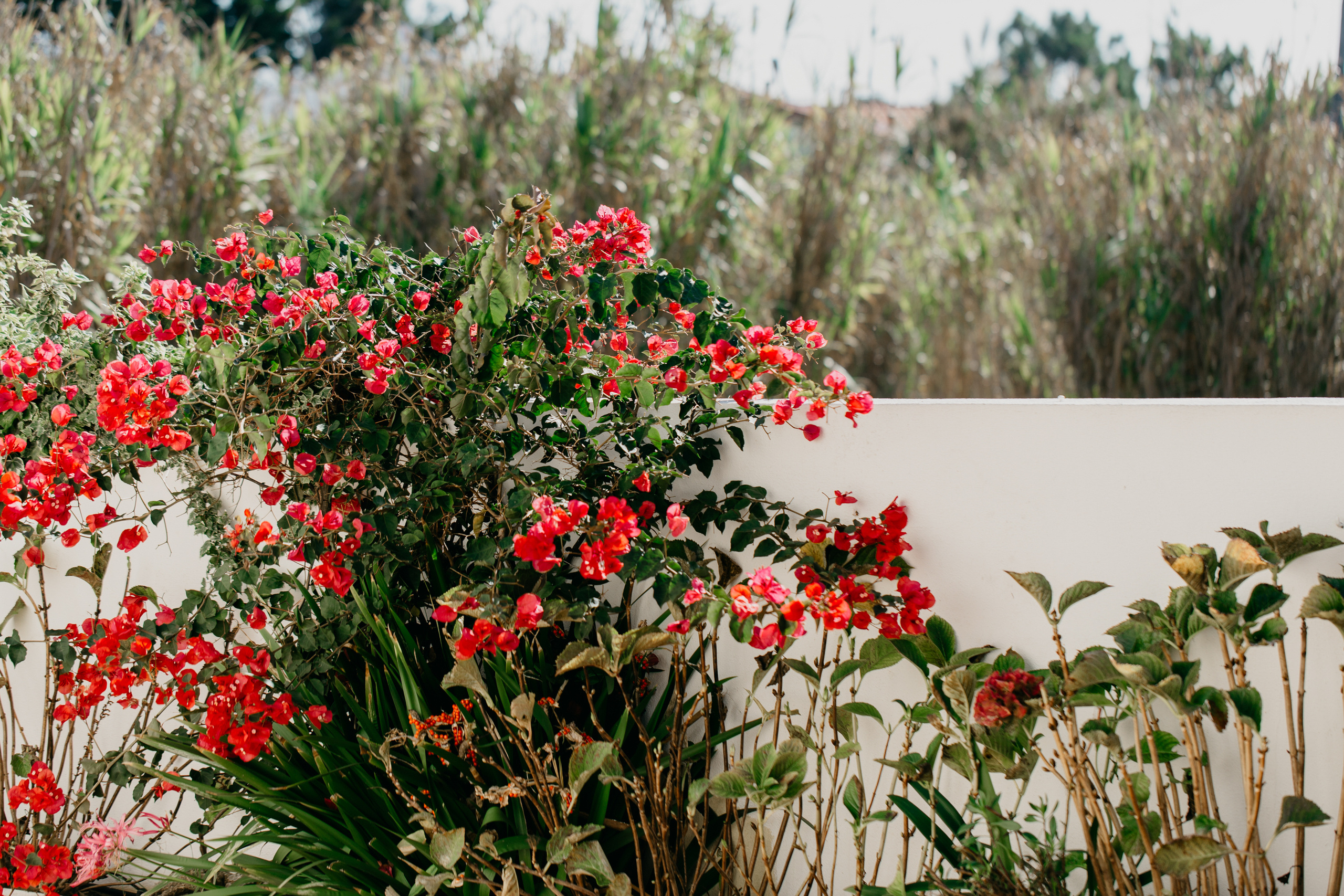 Павел & Анна — Синтра (Португалия). Свадебный фотограф Ричард Конвенсаров Wedding Photographer Richard & I