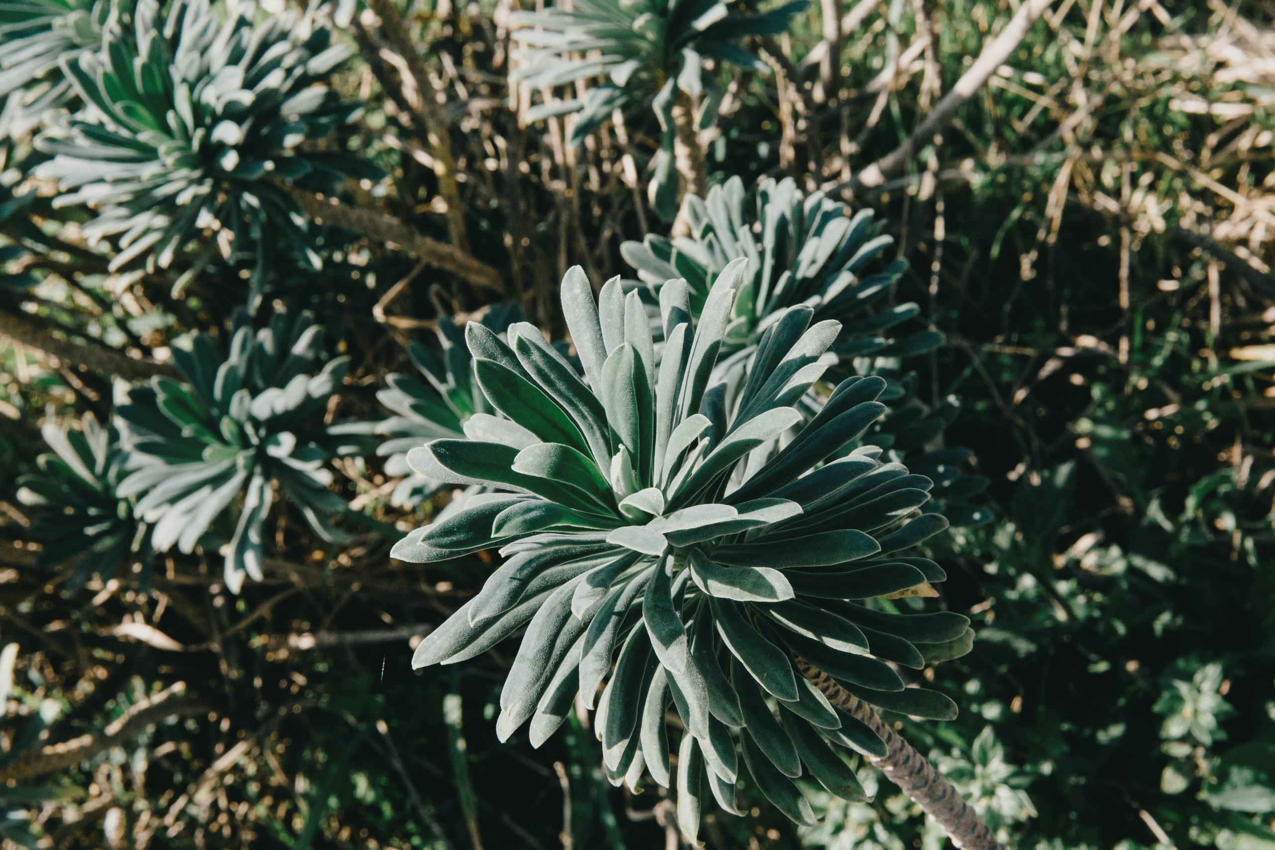 Павел & Анна — Синтра (Португалия). Свадебный фотограф Ричард Конвенсаров Wedding Photographer Richard & I