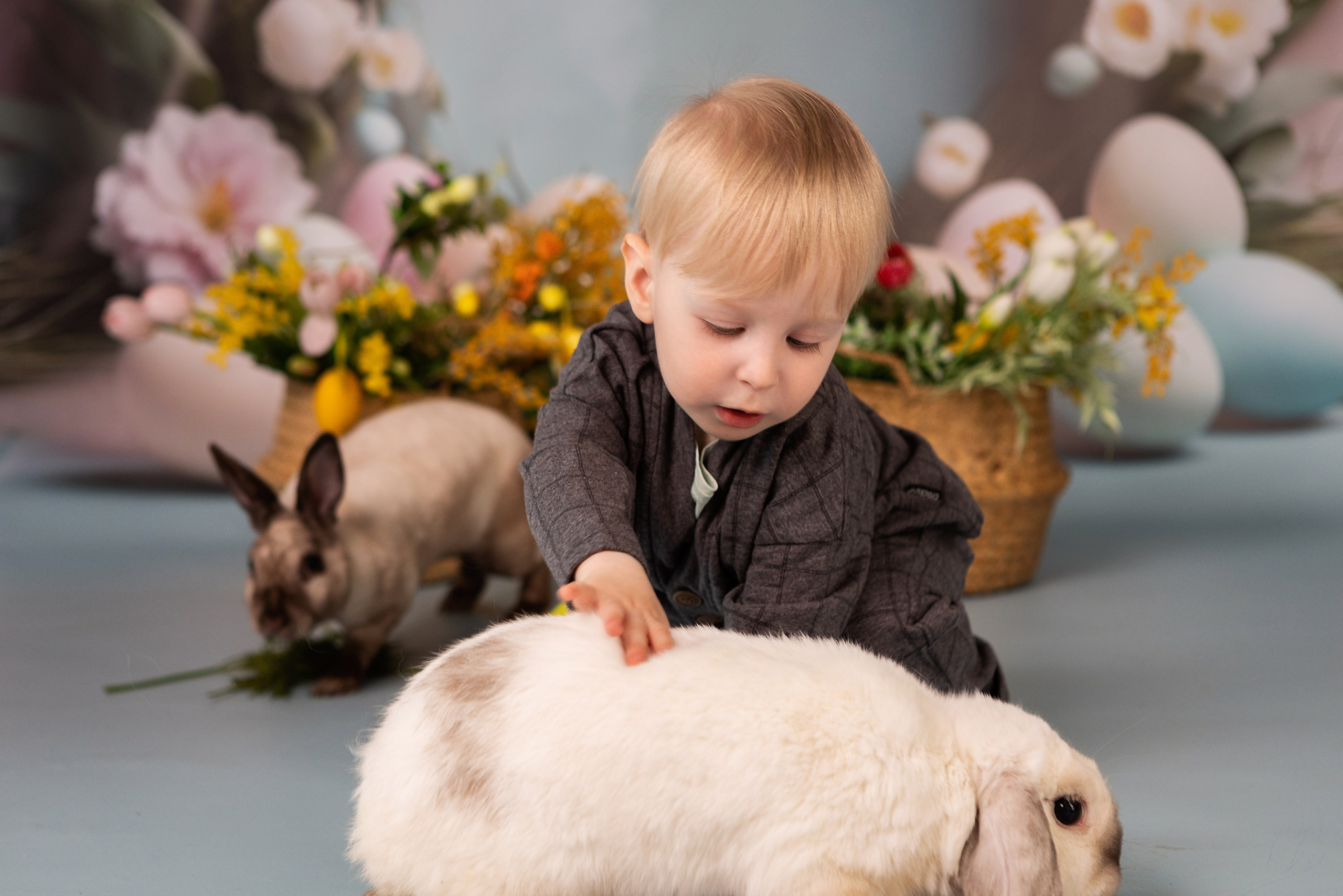 Фотопроект Пасхальный с кроликами. ФОТОГРАФ НА ГОДИК, БЕРЕМЕННОСТИ, НОВОРОЖДЕННЫХ, КРЕЩЕНИЯ МОСКВА
