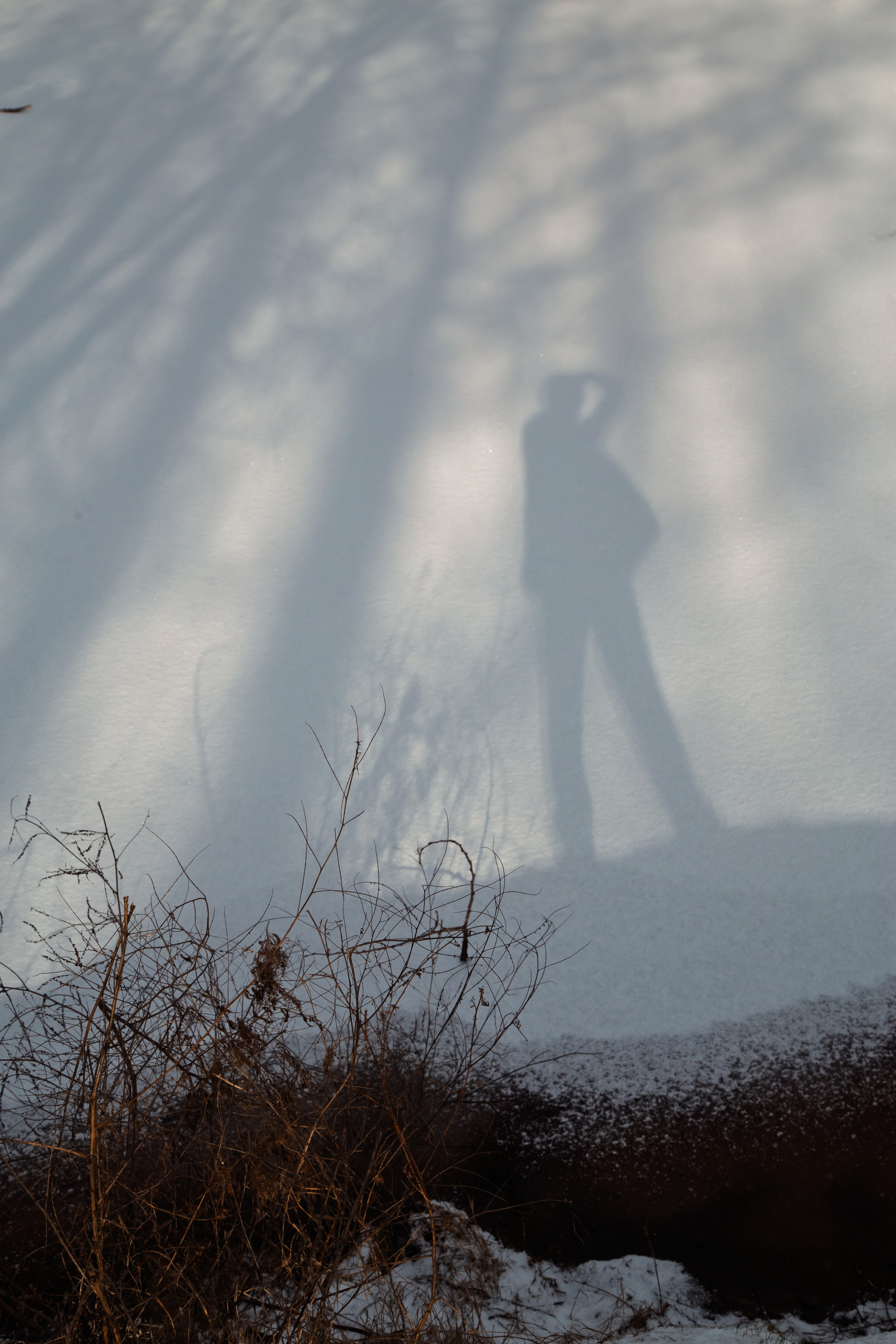 Осенняя зима. Dmitriy [KCCC] is a pretty cool photographer