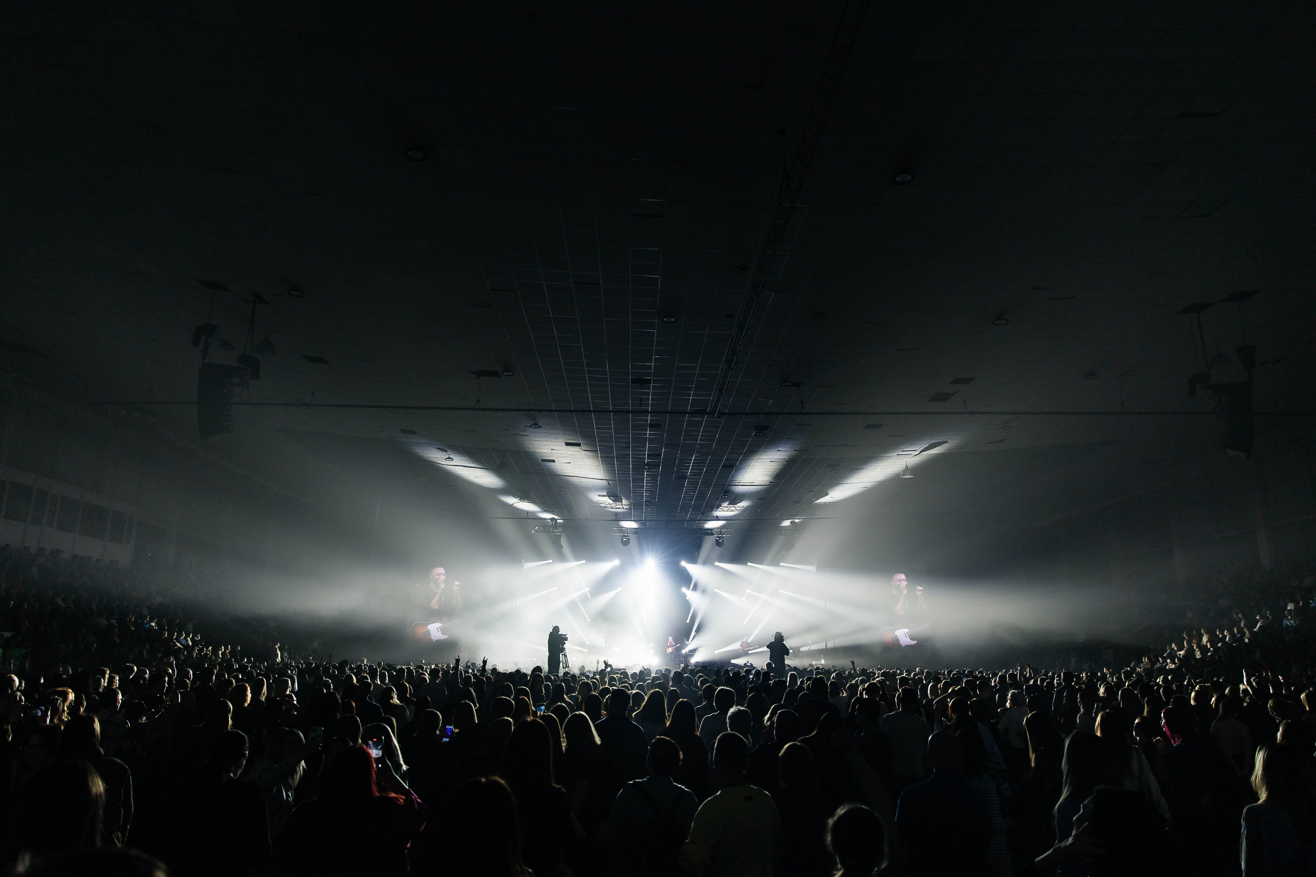 Звери. _Carpe diem_