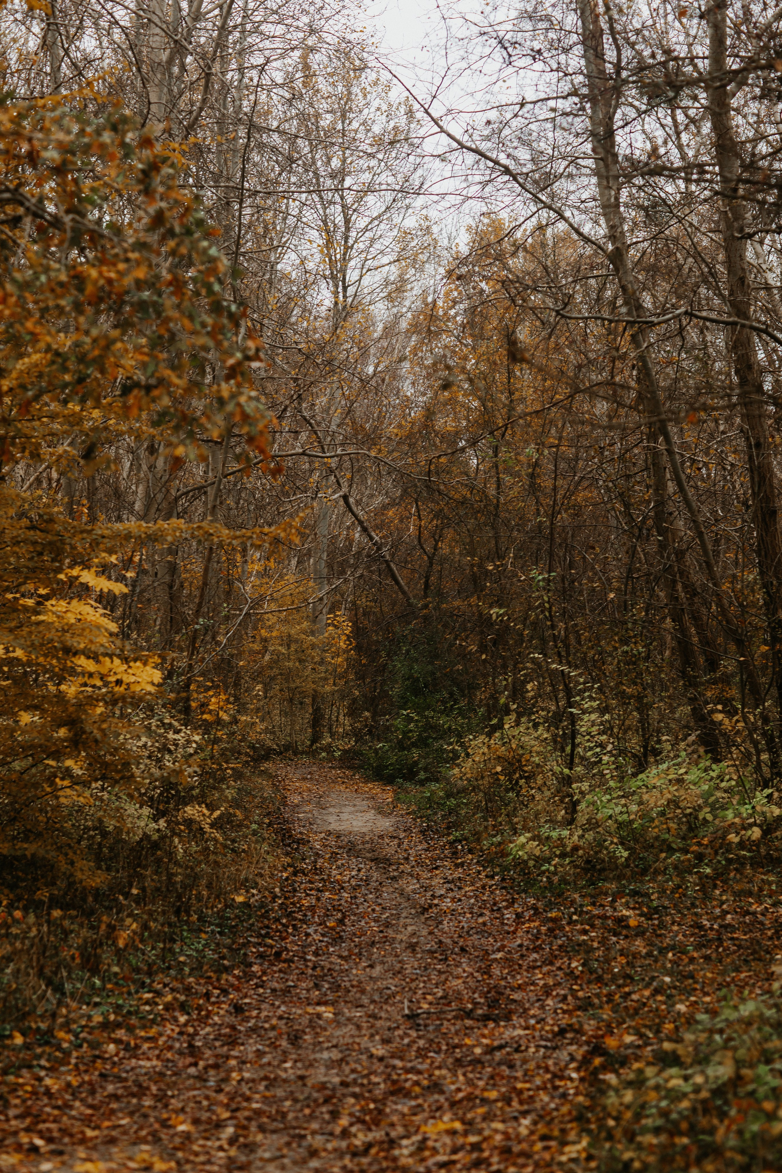 Балтийск/Калининград. Свадебный и семейный фотограф/видеограф в Краснодаре Наталья Осинская