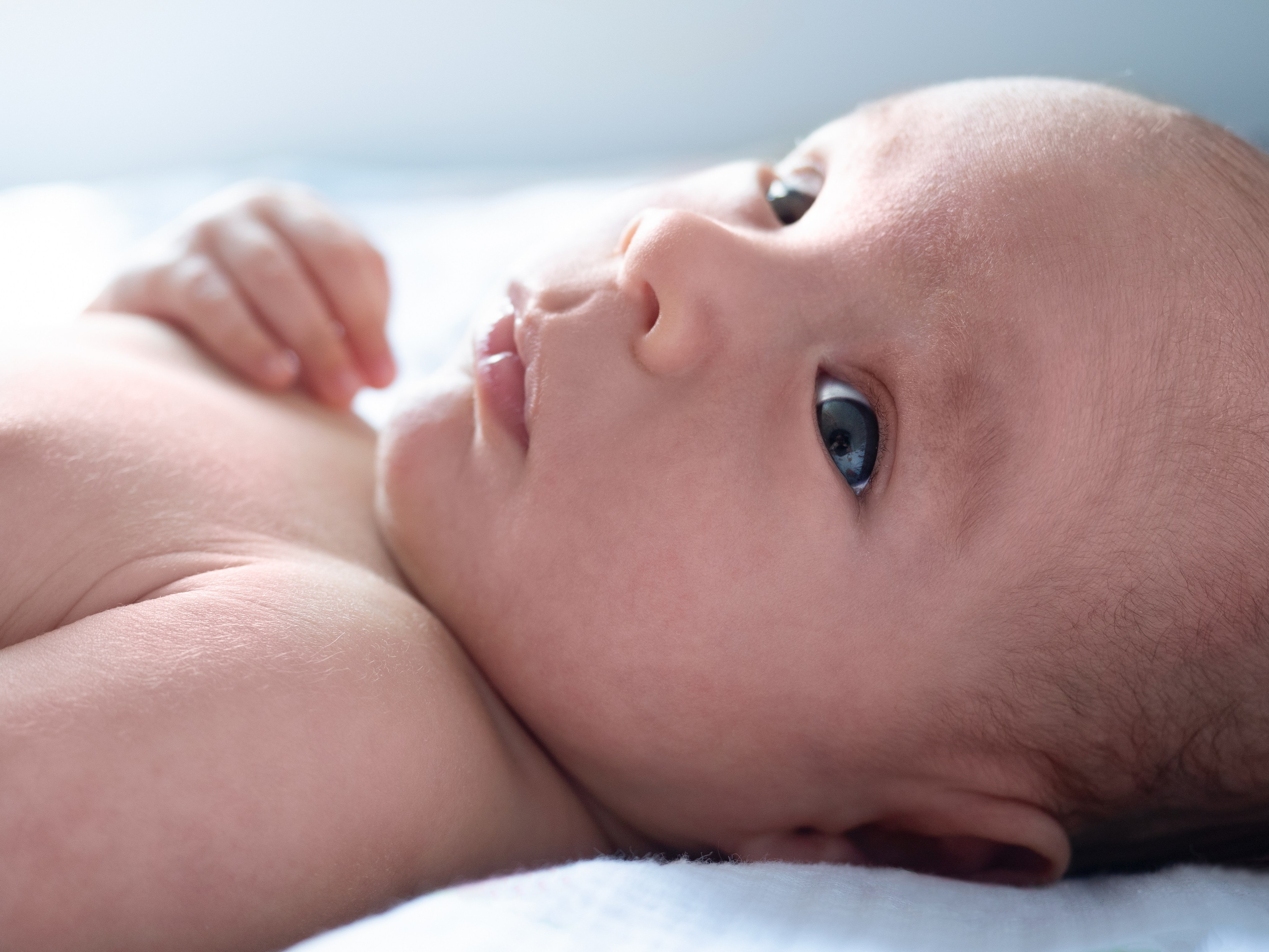 Малыш Женя. Фотограф в Москве — Сергей Люкшинов