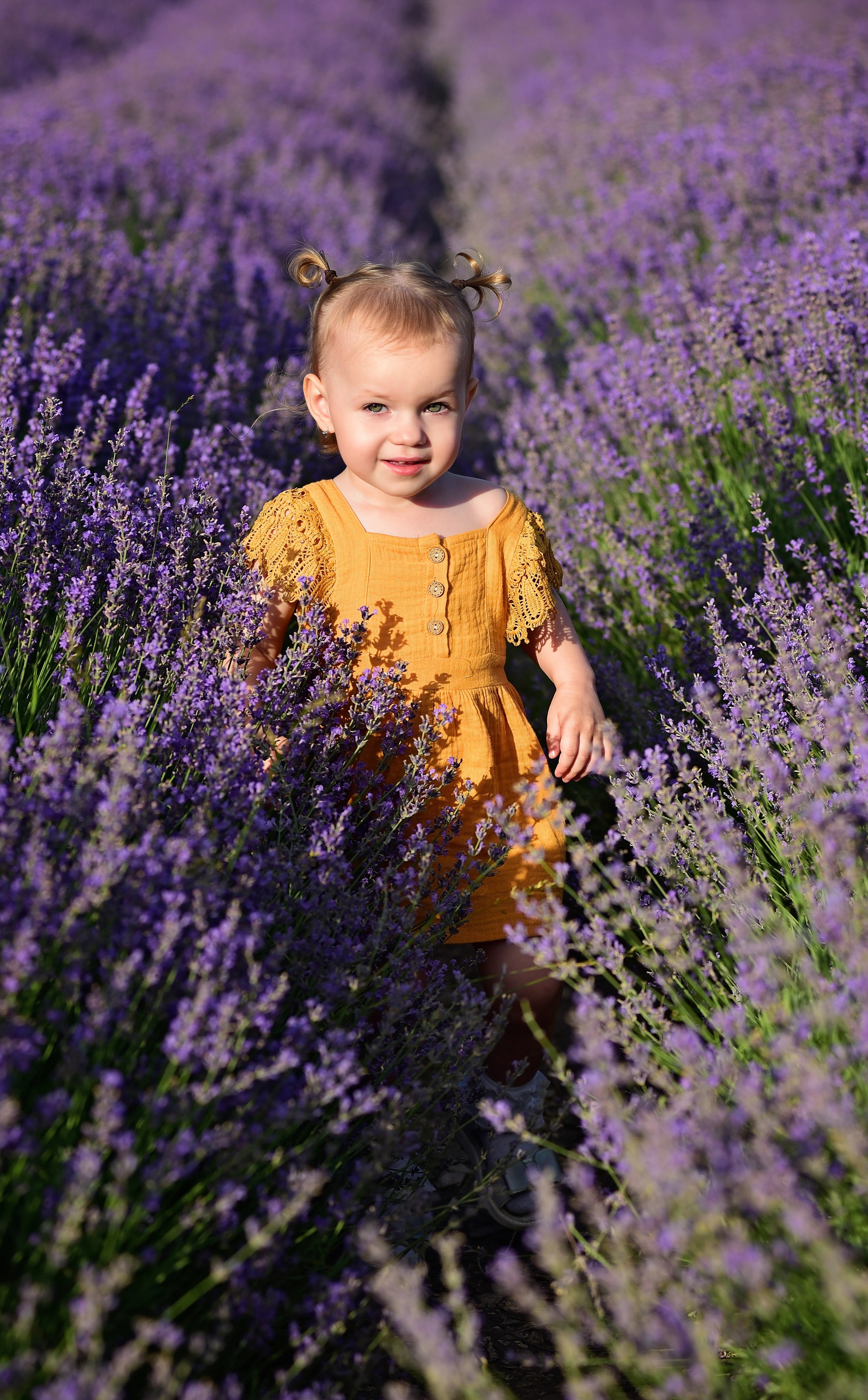 Лаванда. Главная