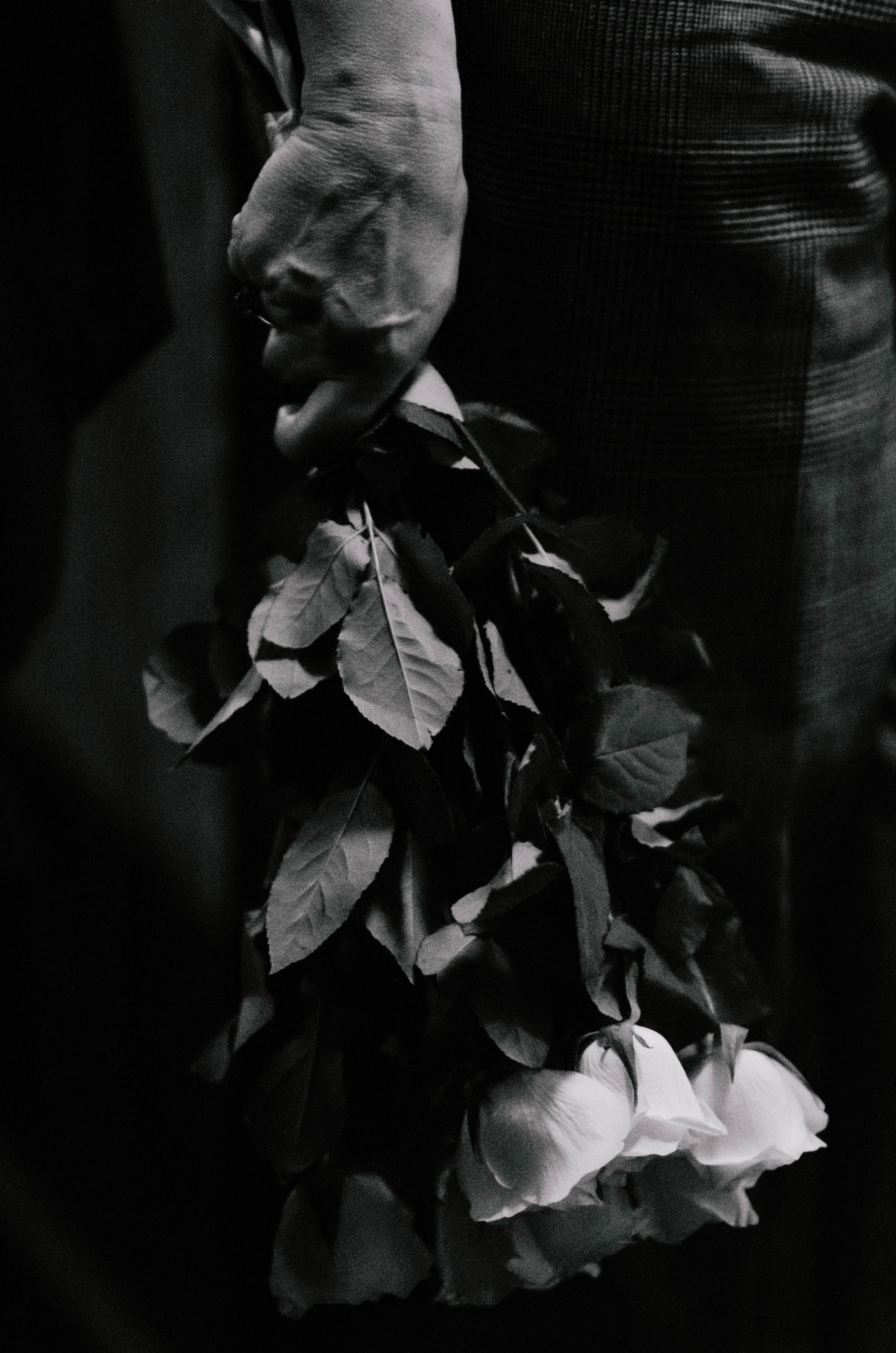 Сигнон. Фотограф Валерия Пэун