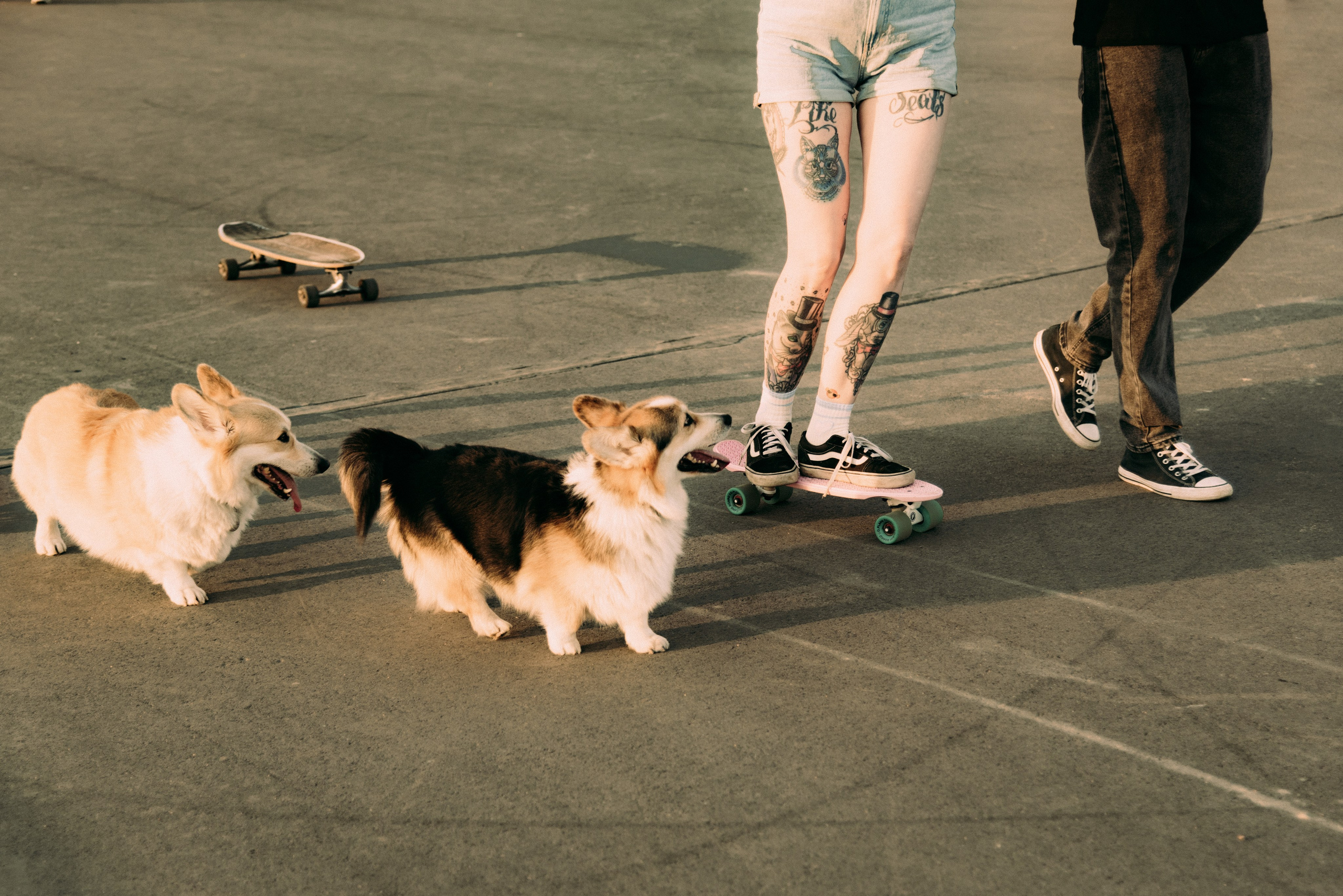 I'm just a kid. Семейный, Свадебный фотограф СПБ Питер— Романова Екатерина