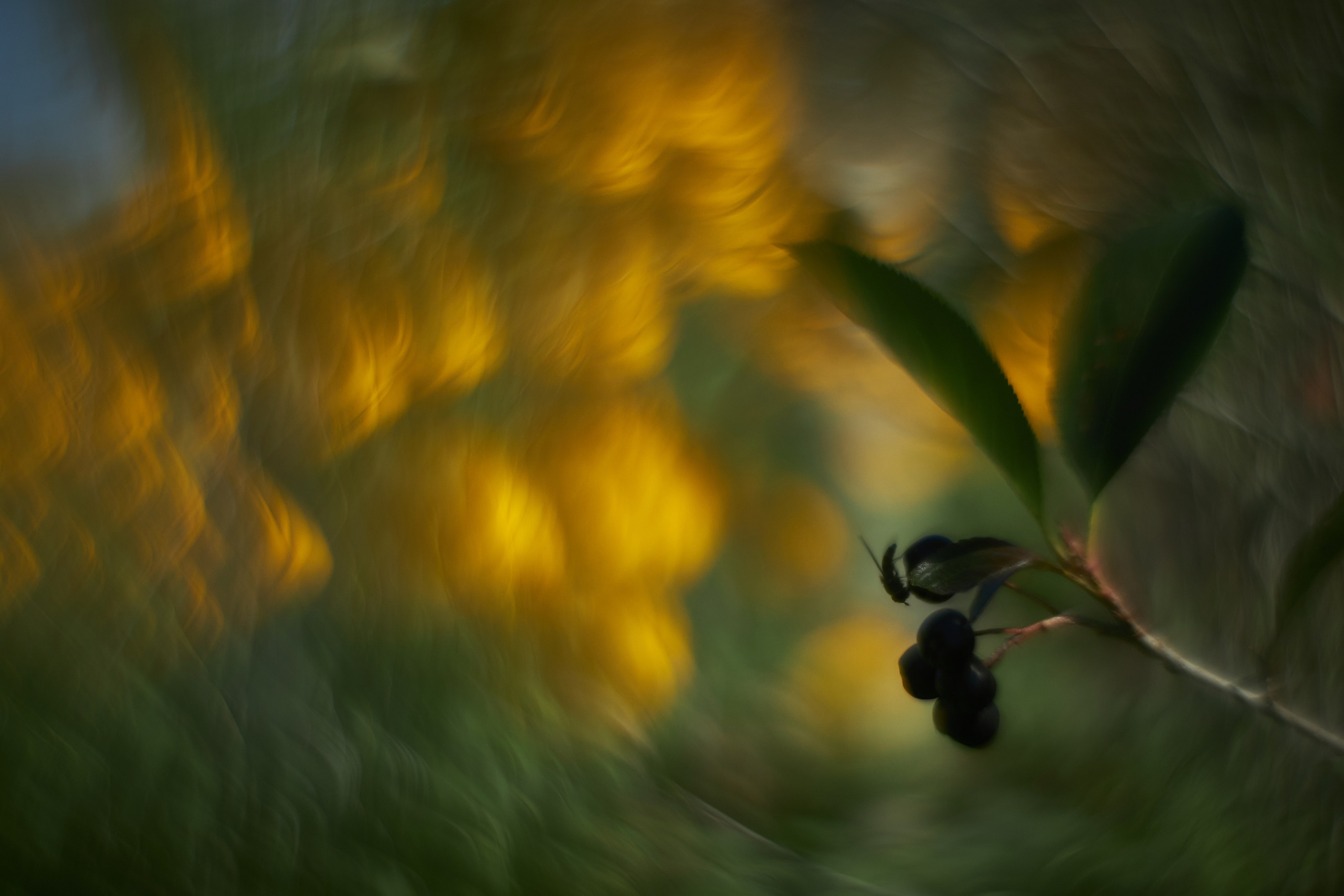 «Незримые Миры». Арт-фотограф во Владивостоке Дмитрий Осипчук