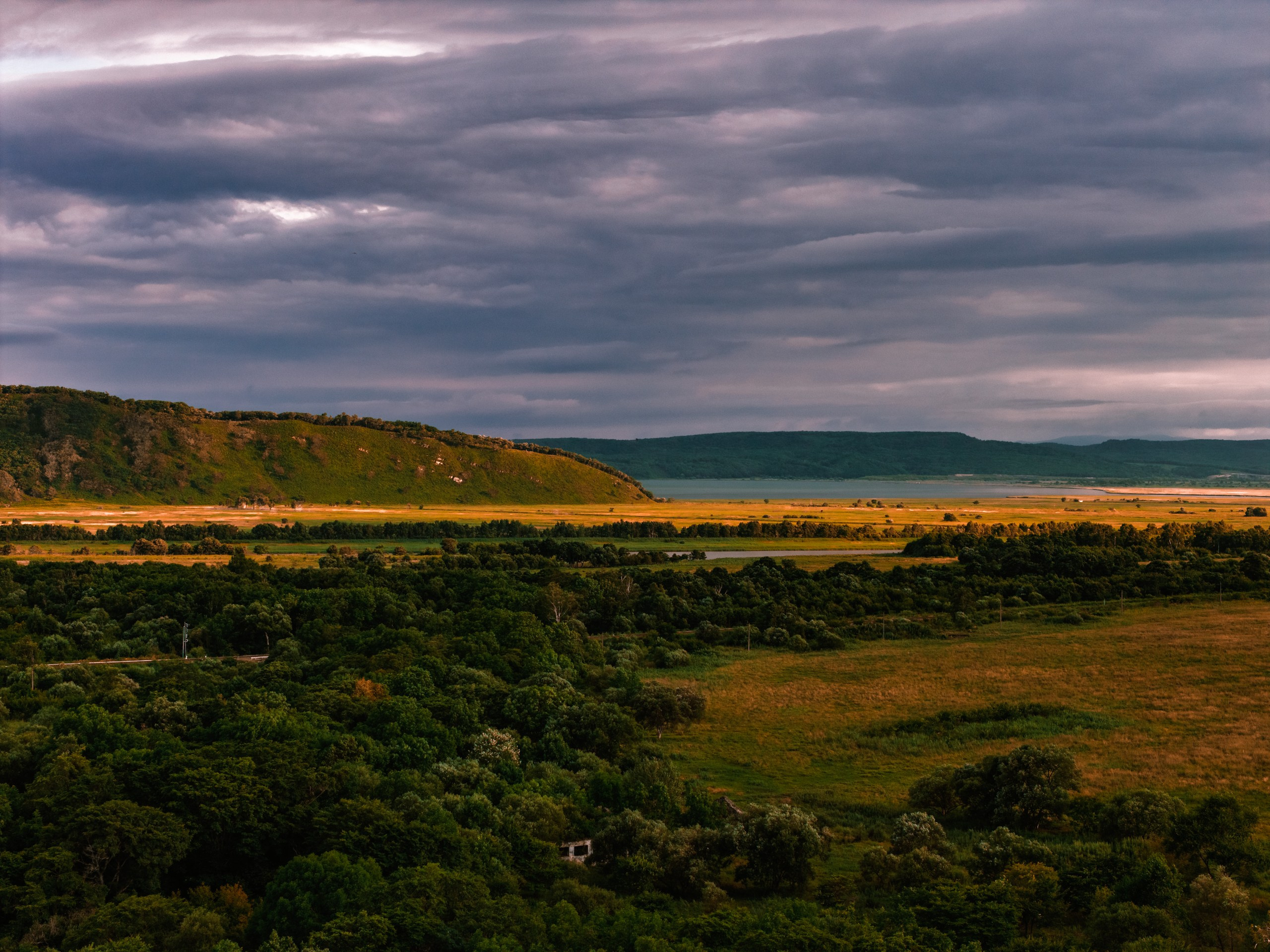 Проект Пруд лотосов. Ivan Zaitsev (IZIART) — 通过照片和视频创建文化代码