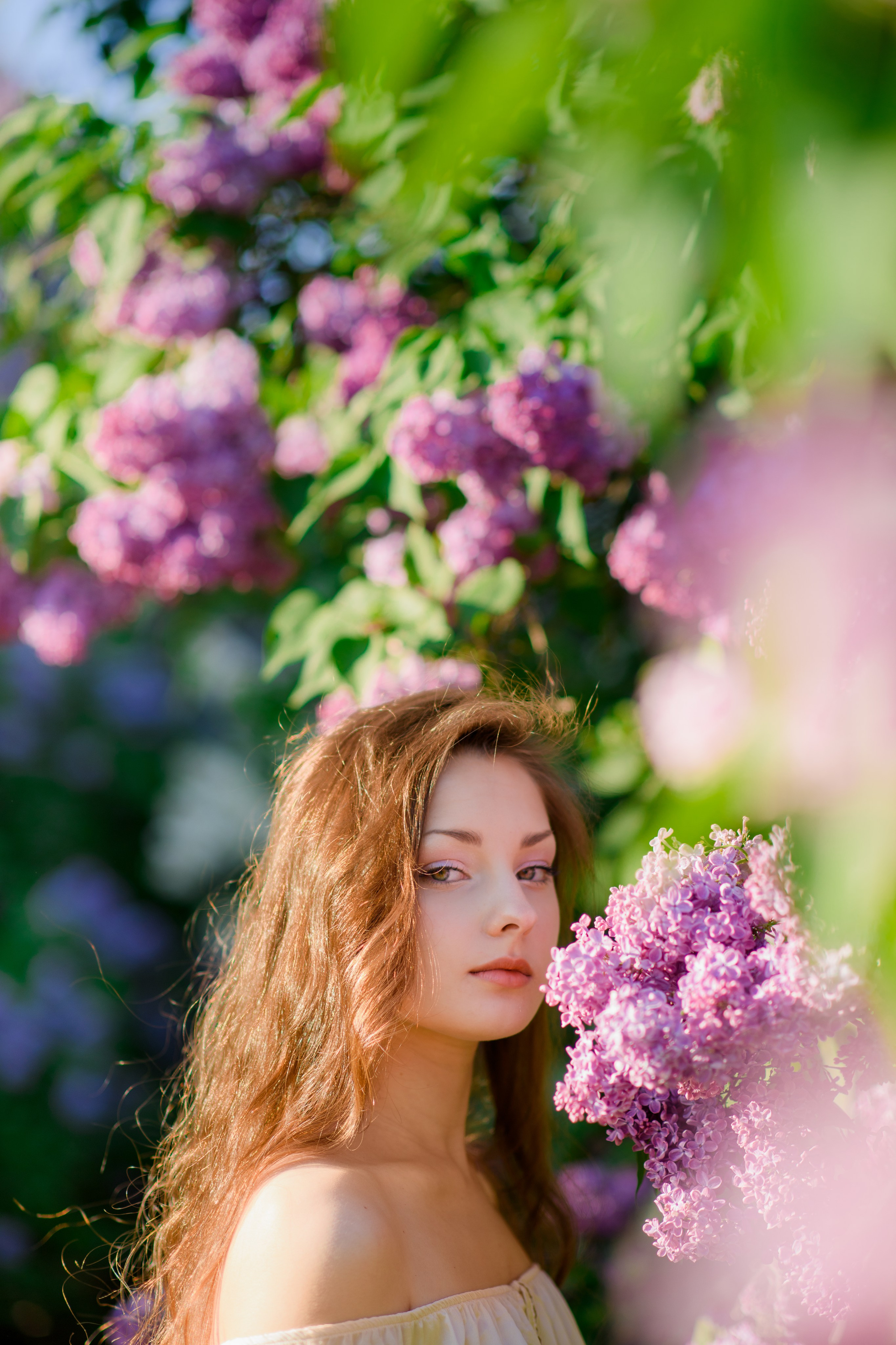 Фотосессия в сиреневом саду. Главная