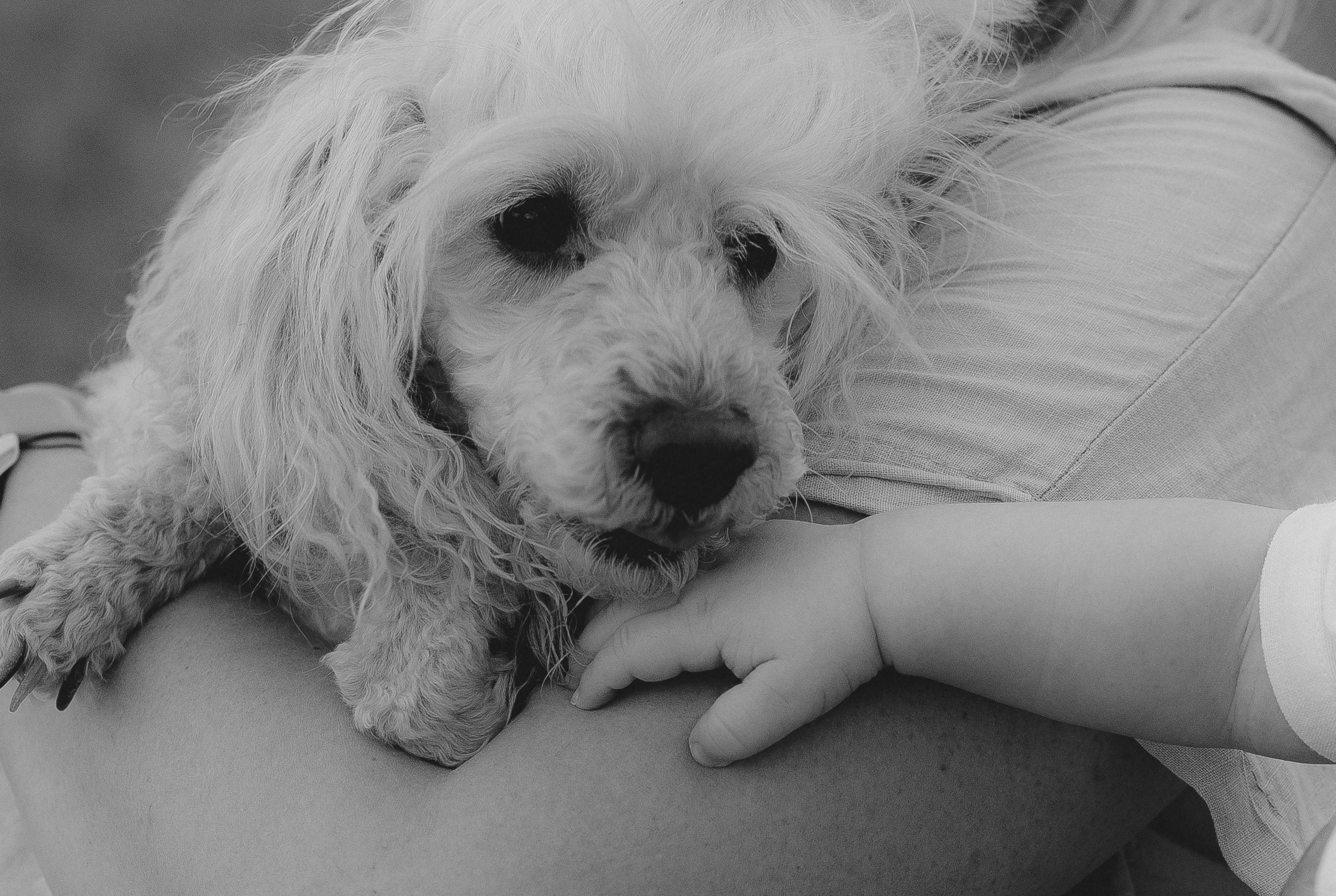 Ольга и Марк. Главная