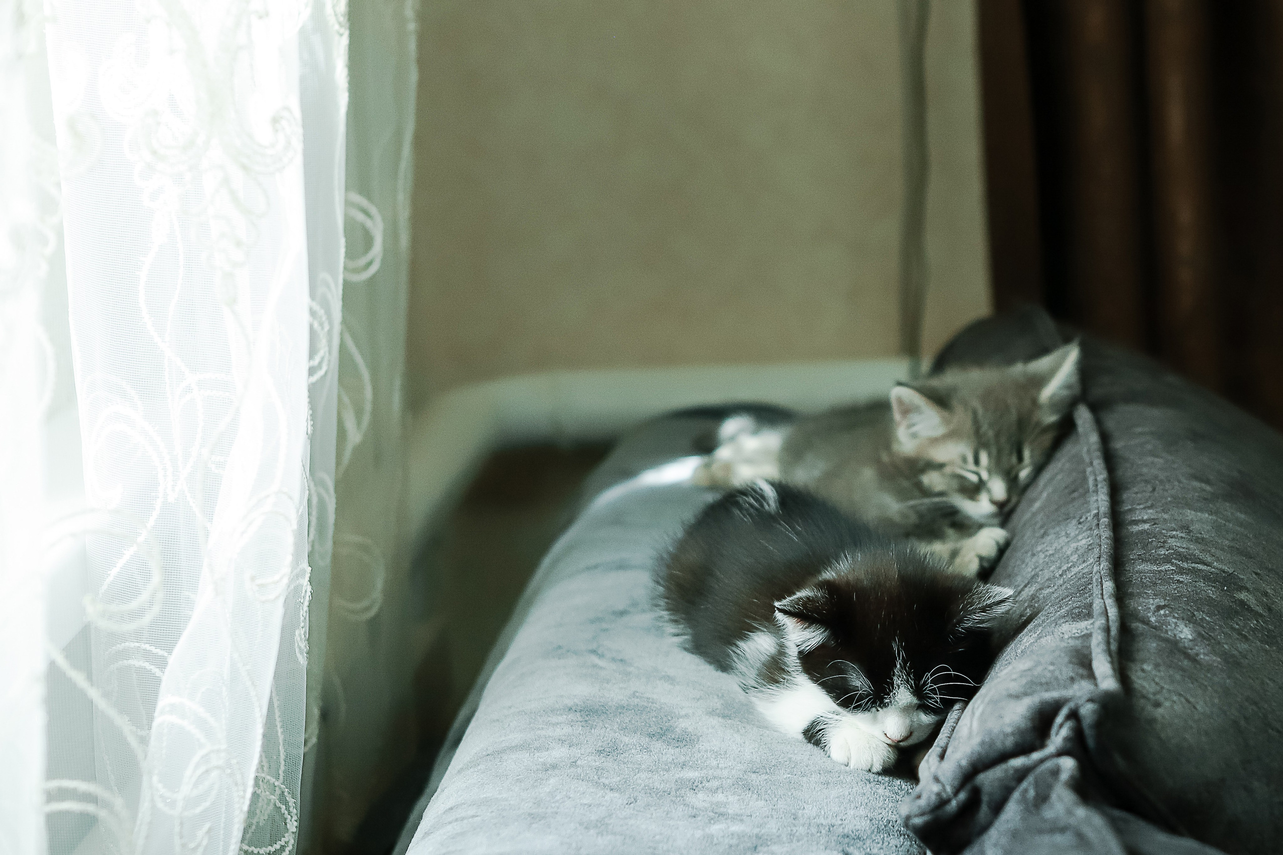 Наталья и Андрей. Свадебный фотограф Евгения Фролова г. Каменск-Шахтинский, Донецк, Ростов