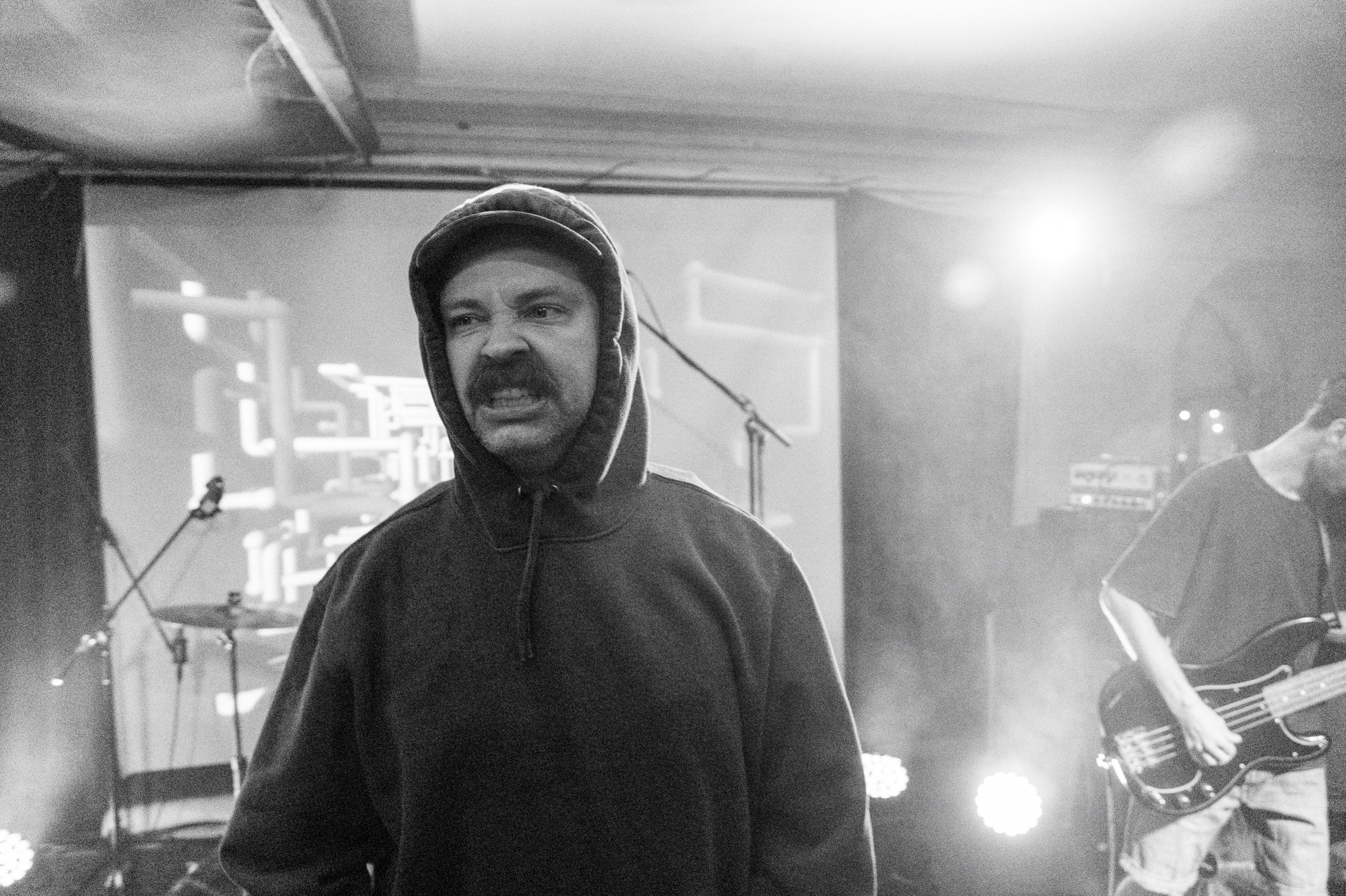 Змееед, Apodemus, 20.12.25, TAGO)))MAGO)))