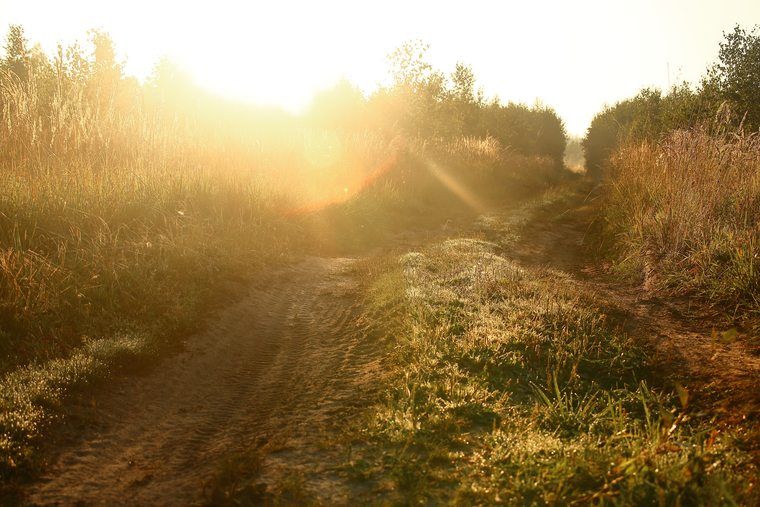Туманным утром. Свадебный и репортажный фотограф в Ярославле и Санкт-Петербурге Роман Микрюков