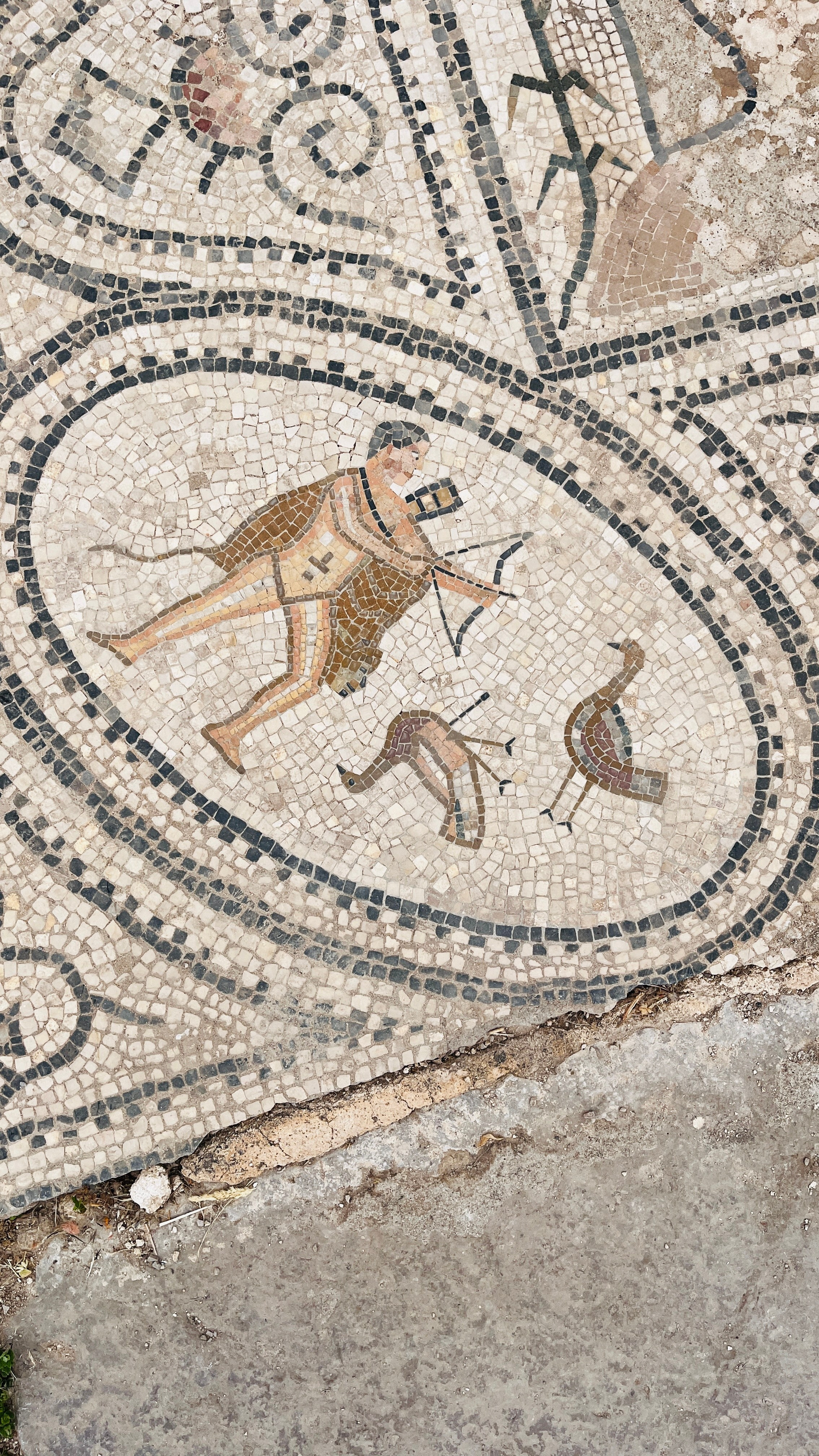 Северная Африка: Тунис, Марокко. Фотограф в Хабаровске. Фотография за 24 часа