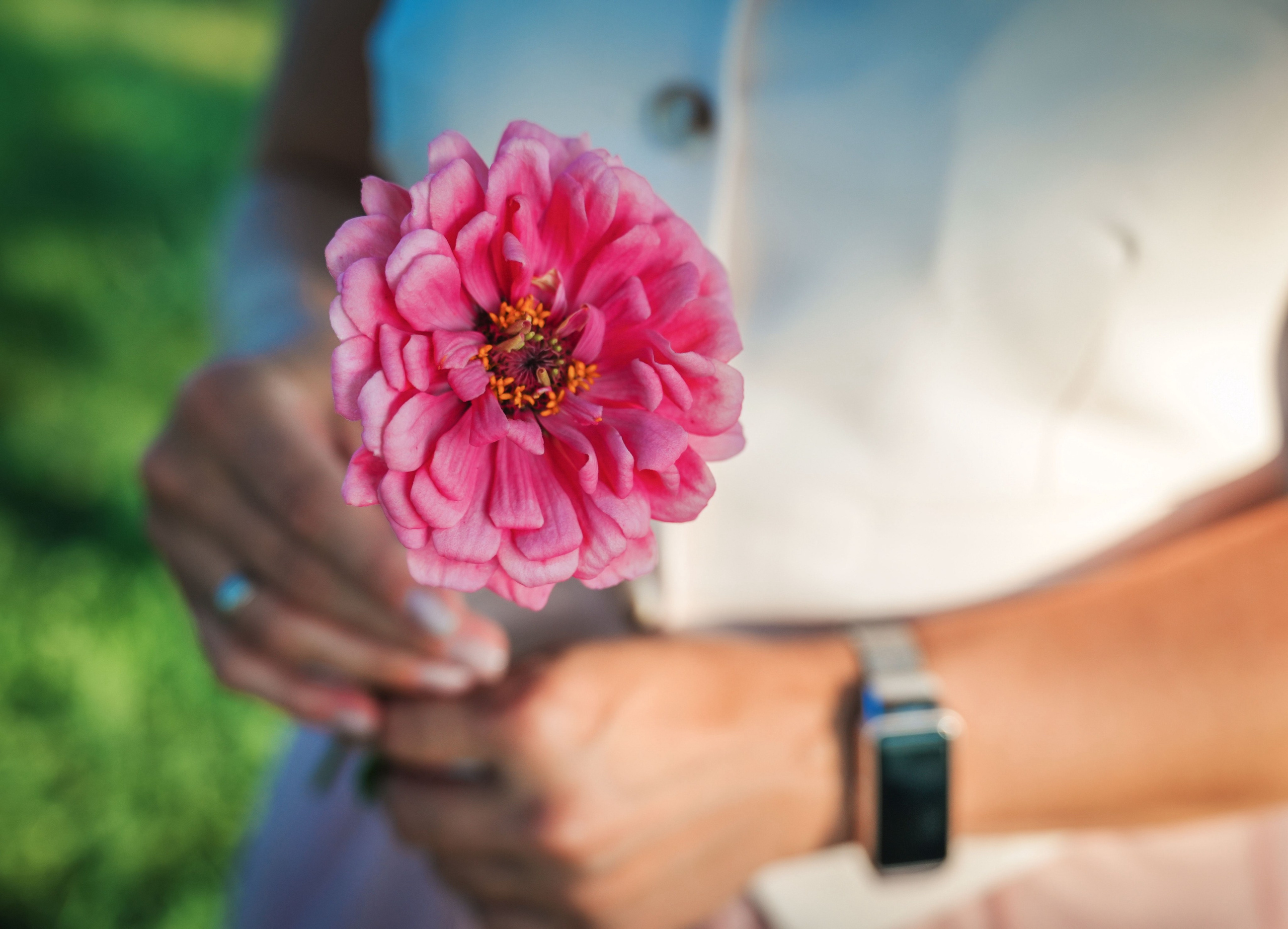 Прогулка. Семейный и интерьерный фотограф в Норильске и Красноярске