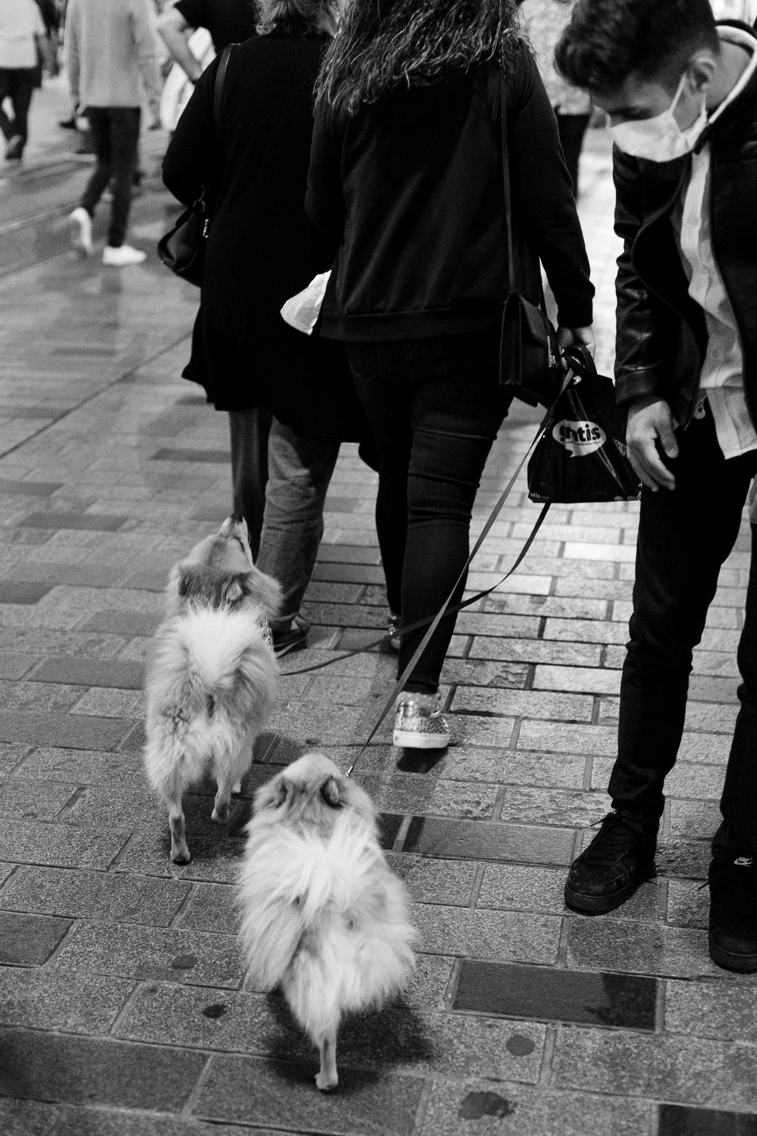 Istanbul. Katerina Spekhova