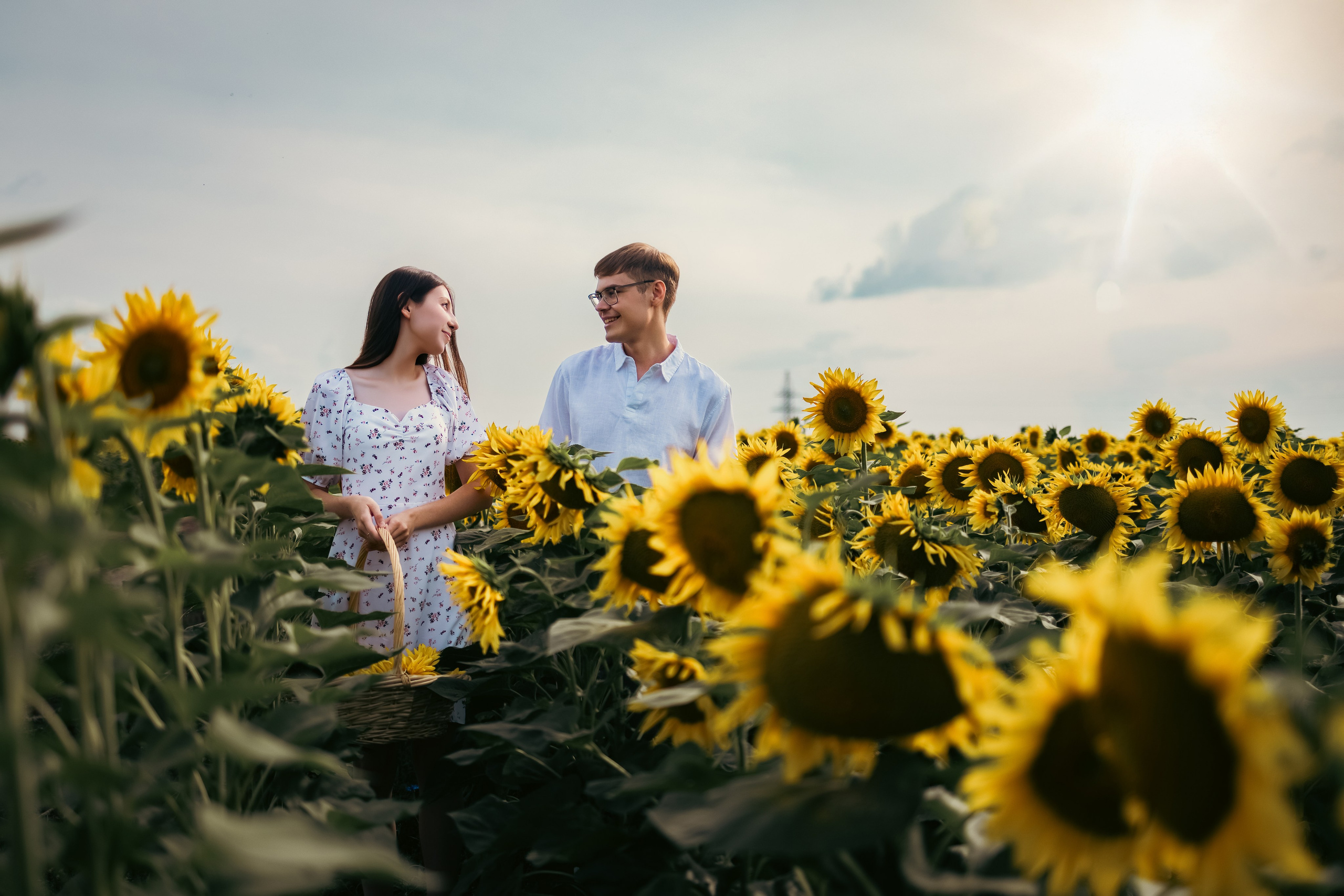 Подсолнухи. Свадебный и семейный фотограф в Рязани Датская Ксения