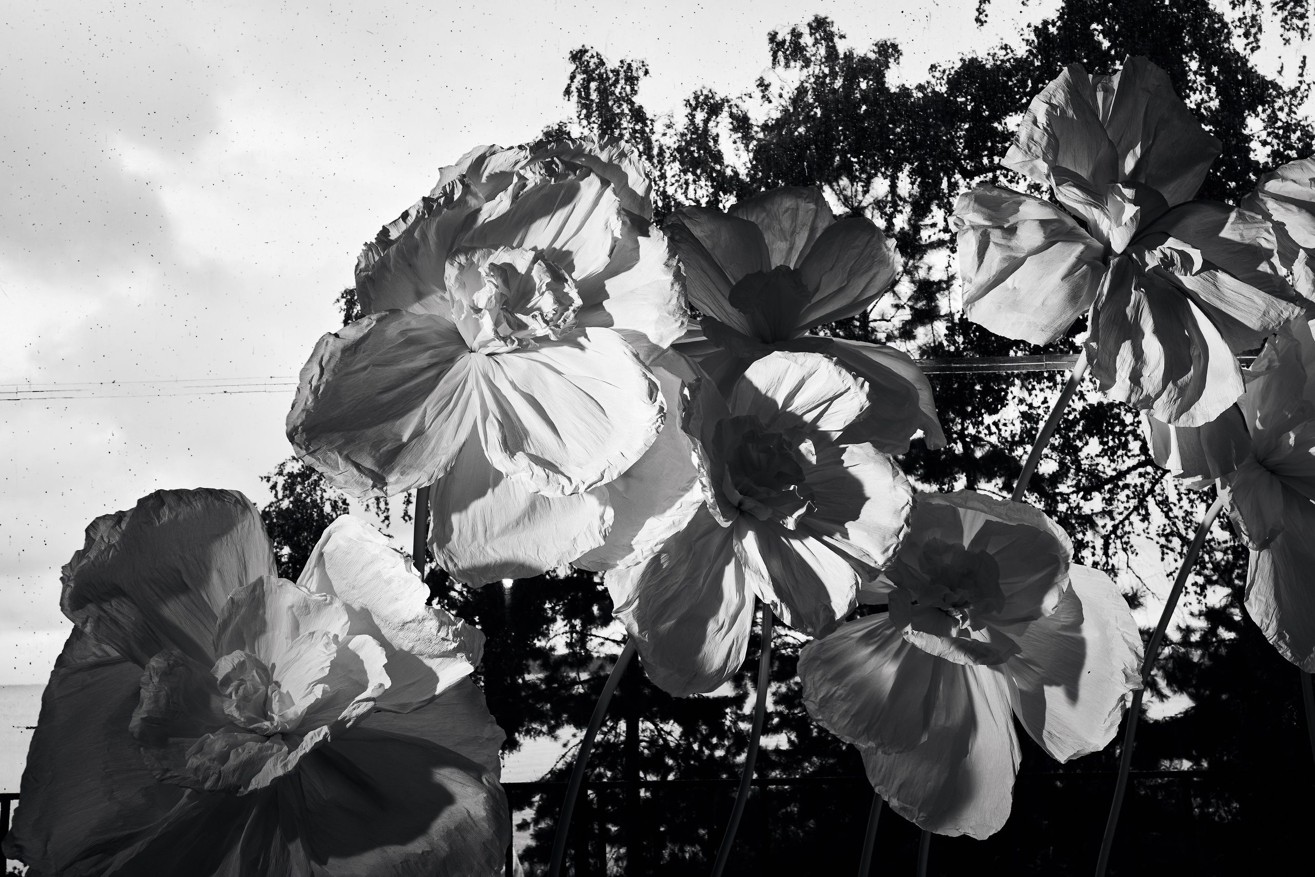 А|Н. Фотограф Михаил Ефремов