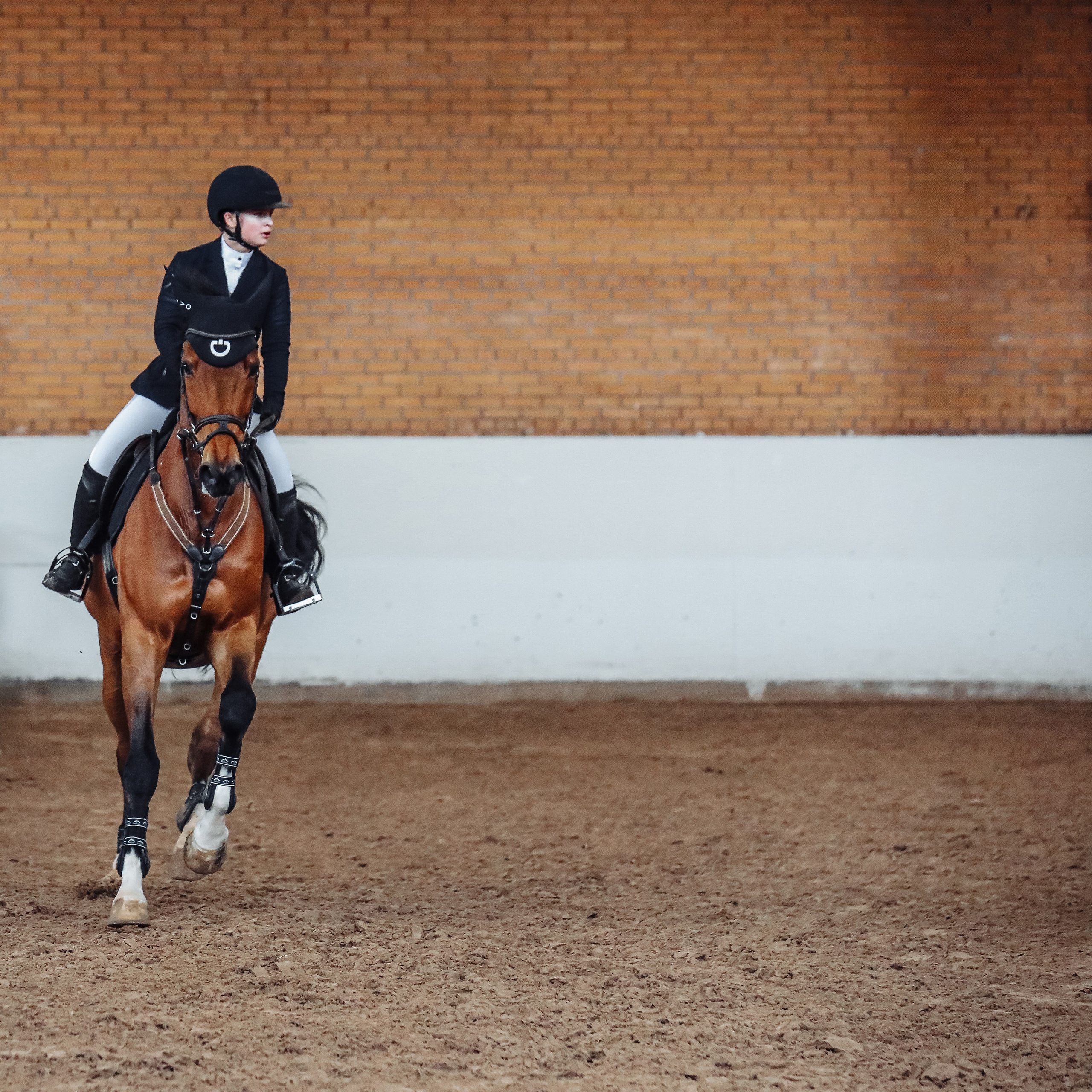 Лошади Евы Демидовой. Ева Демидова. Спортсмен по конкуру в Санкт-Петербуре