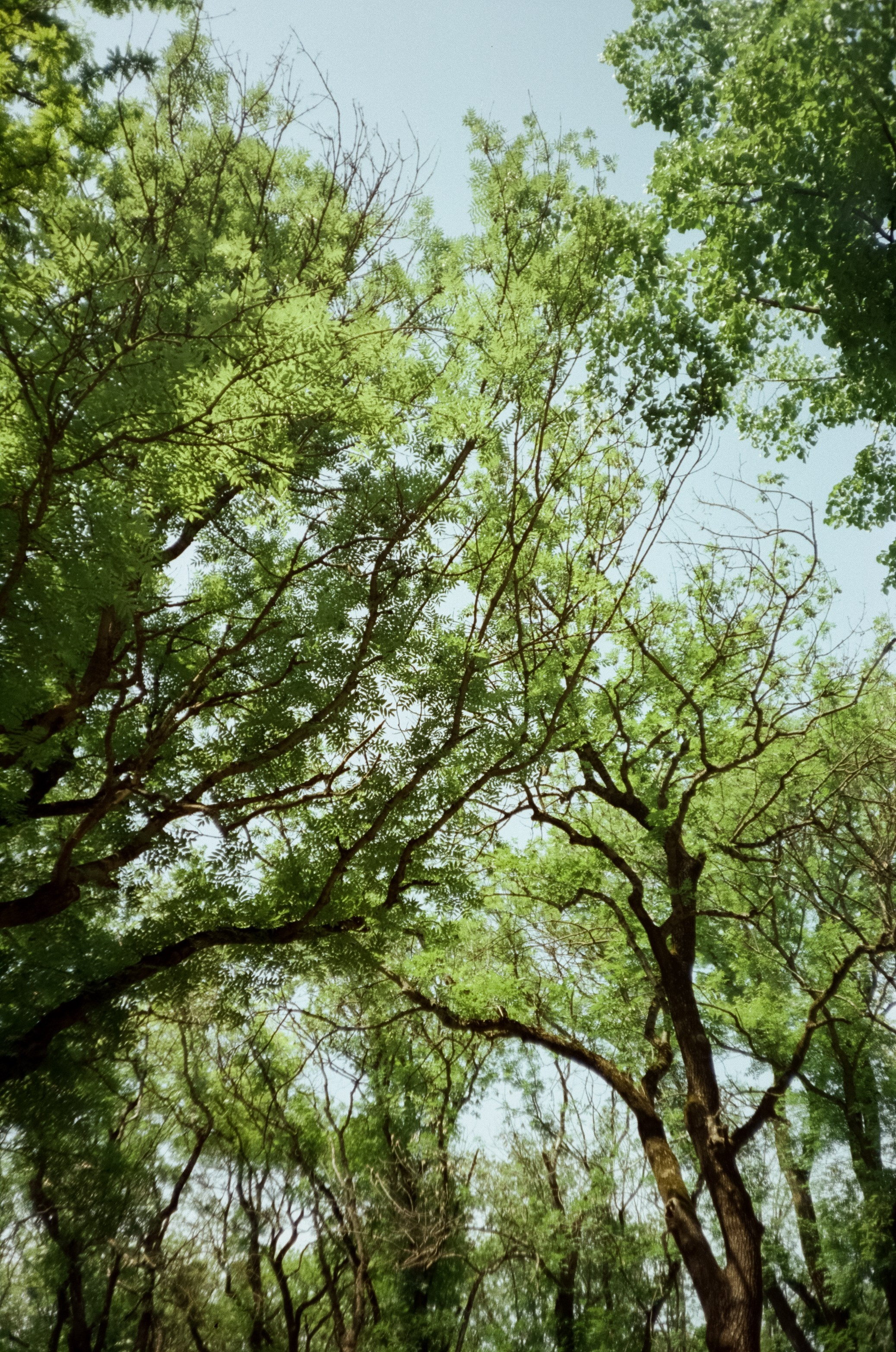 Прогулка в Ессентуках. Ловим солнце в завершении отдыха. Фотограф-документалист Мария Осокина