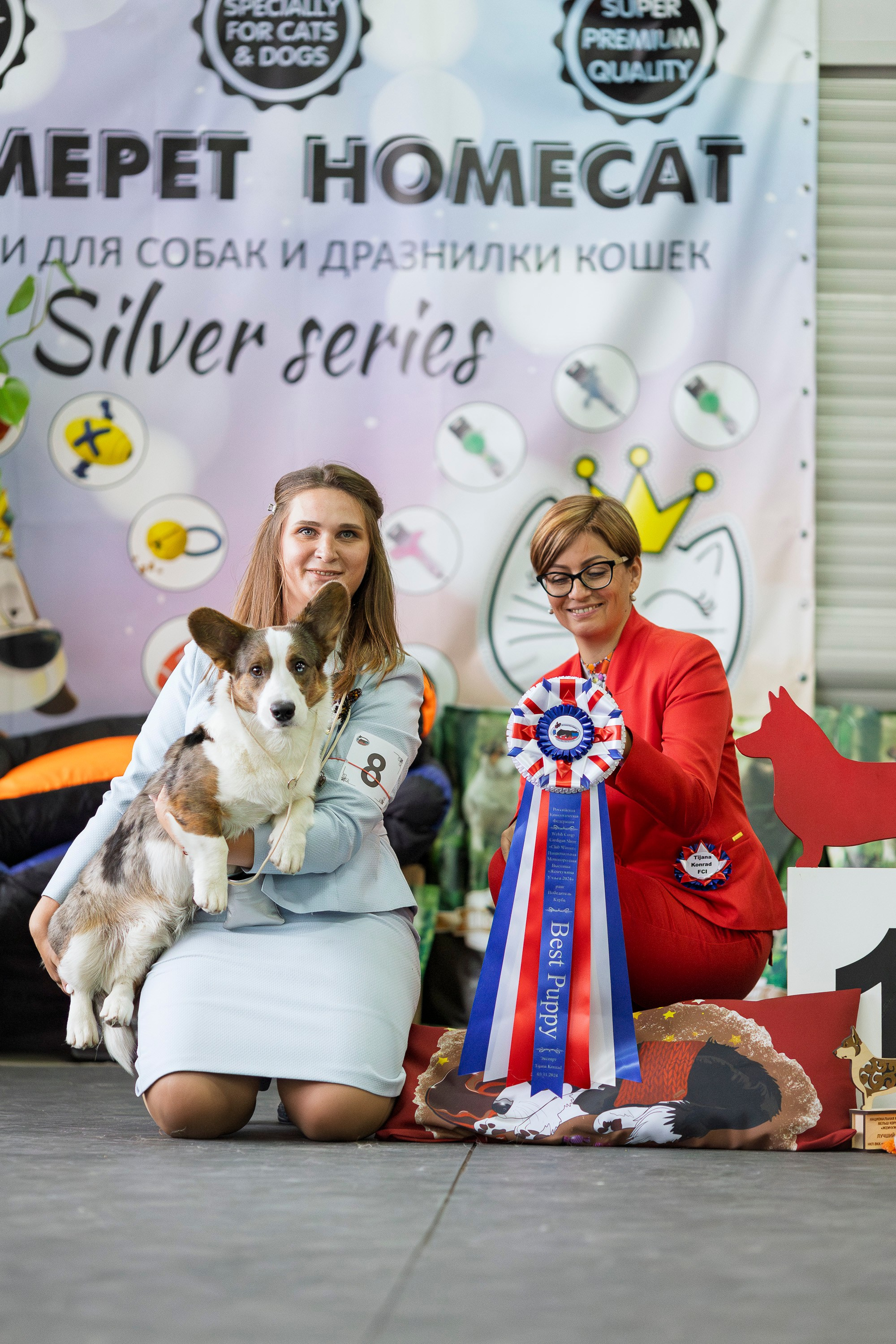 Националка ВКК 2024. Фотограф анималист, семейный фотограф, фотограф собак Комратова Мария. г. Москва