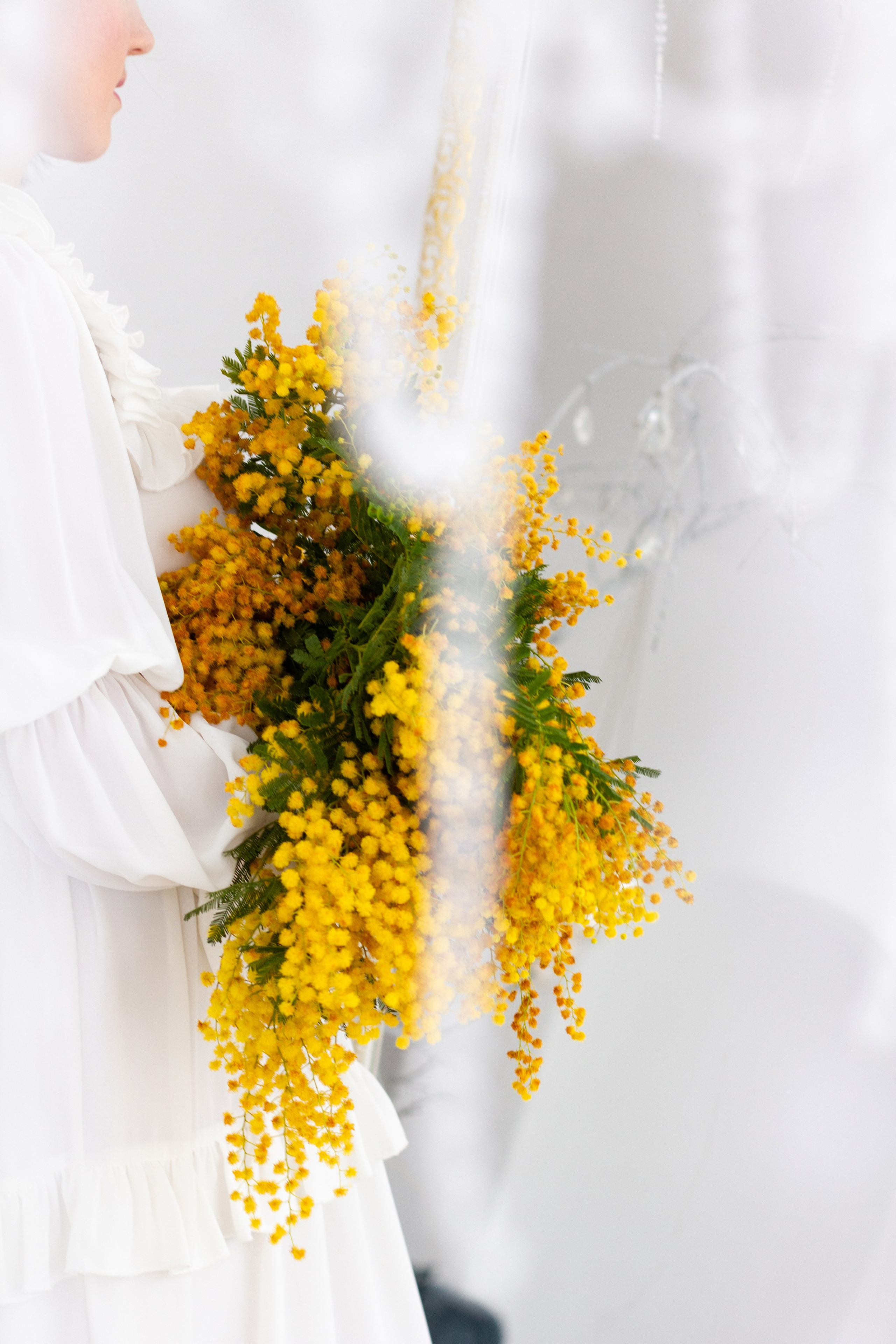 Фотодень с мимозой. Портретный и семейный фотограф в Санкт-Петербурге Ульяна Жукова