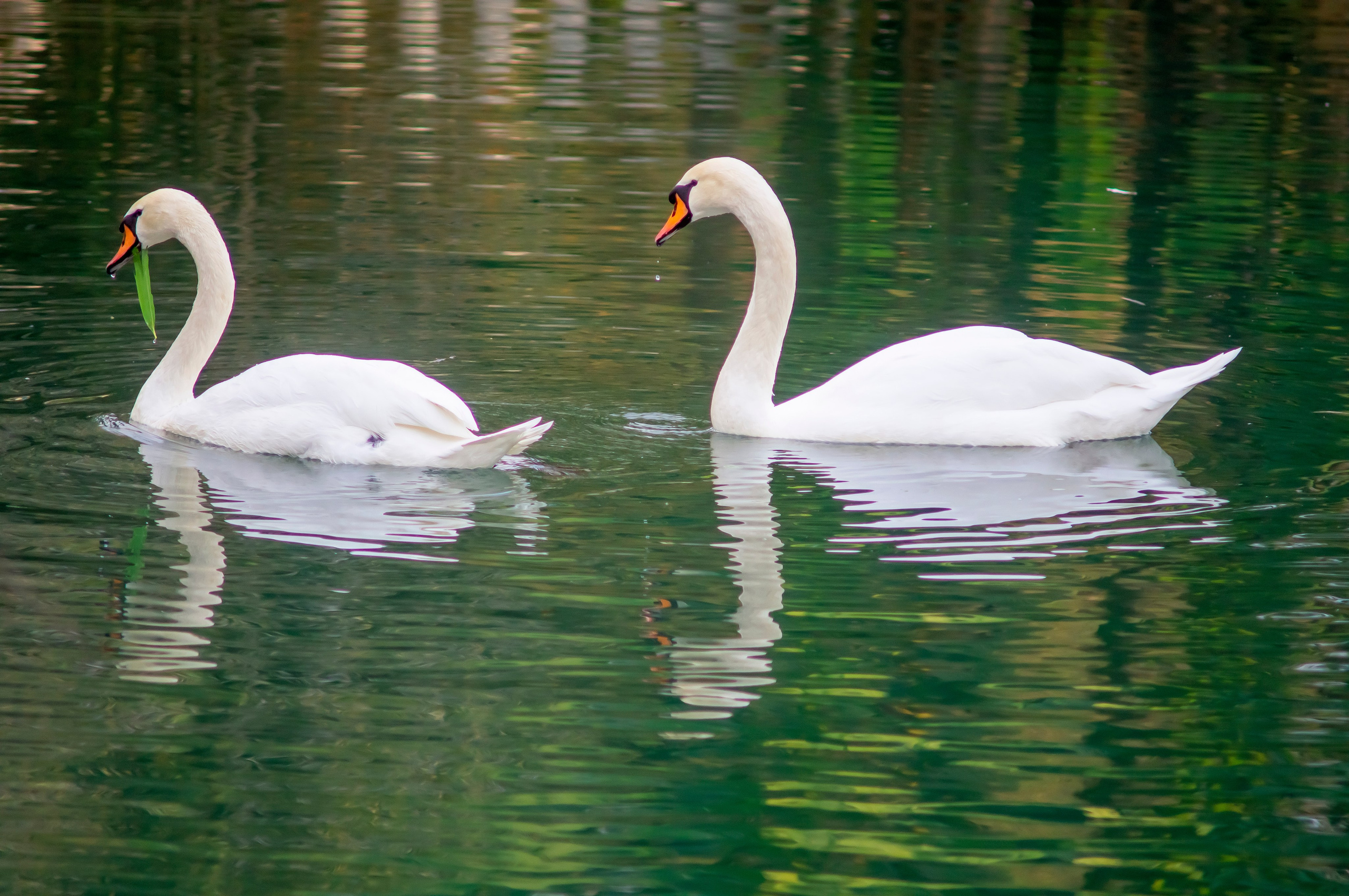 Пейзажная съёмка. Интерьерный и портретный фотограф в Екатеринбурге Андрей Калинин