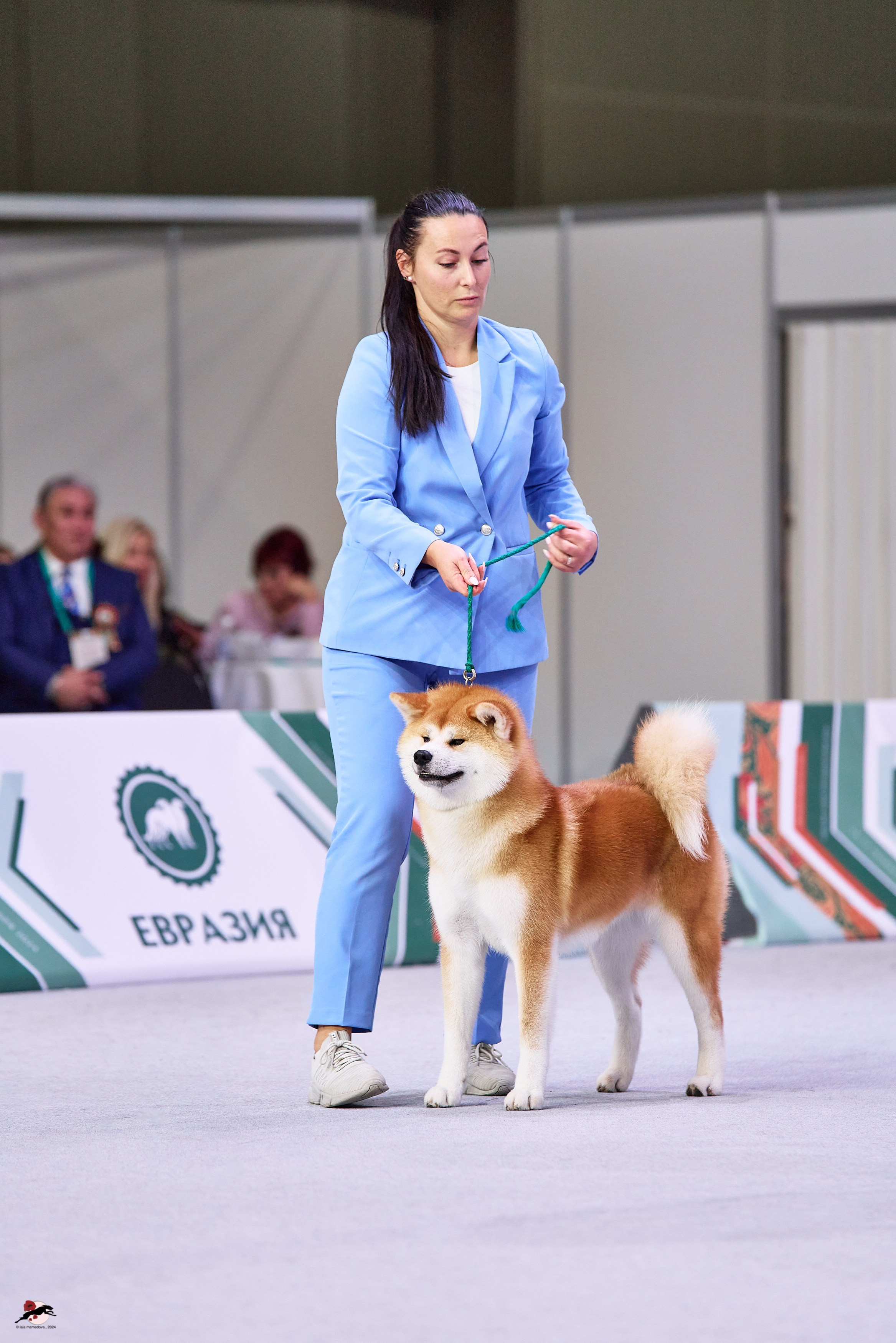 17.11.2024 «ЕВРАЗИЯ. КУБОК СНГ 2024»