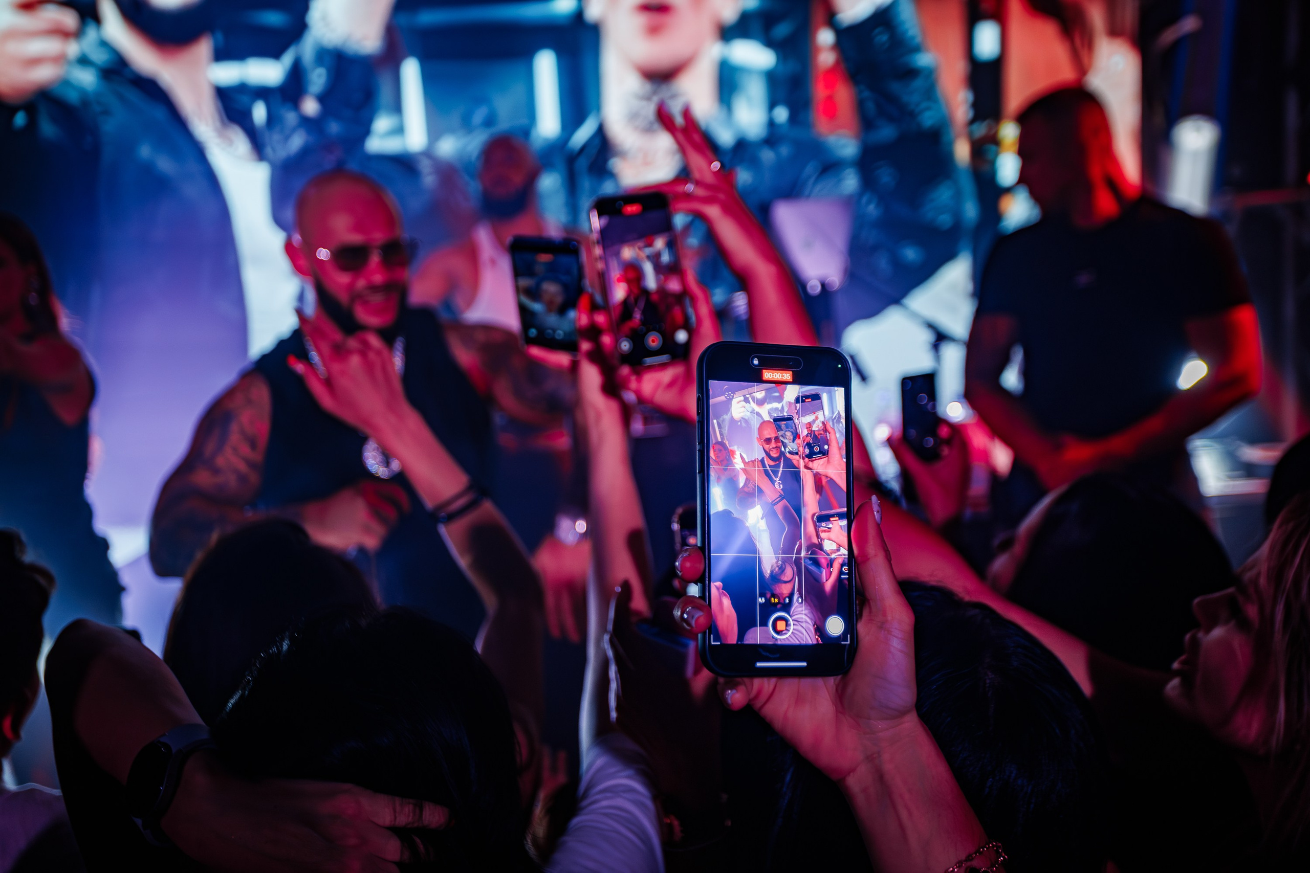 «Джиган"_Чайка на пляже_Ялта_12.07.2025 г. Аминов Руслан | Фотограф