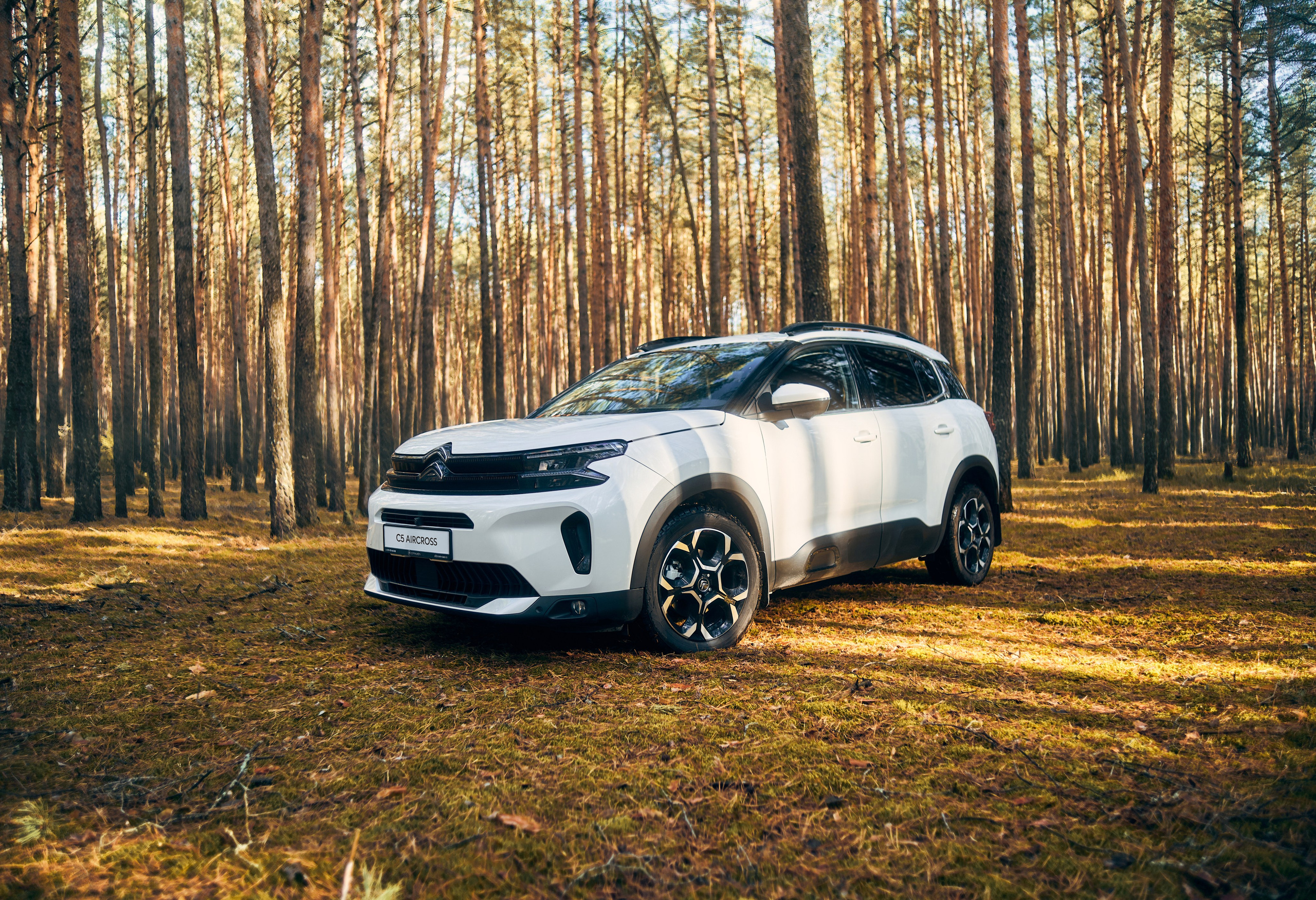 Фотографии Citroen C5 Aircross