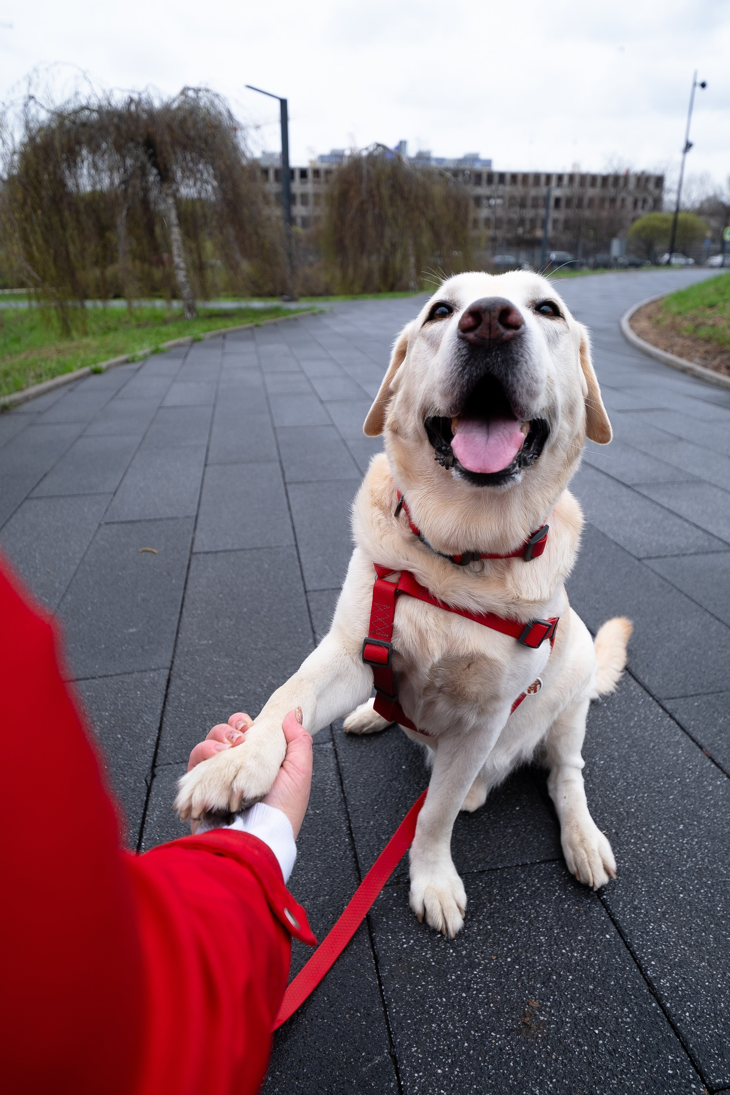 Света и Лето. Фотограф и видеограф анималист Аганина Дарья